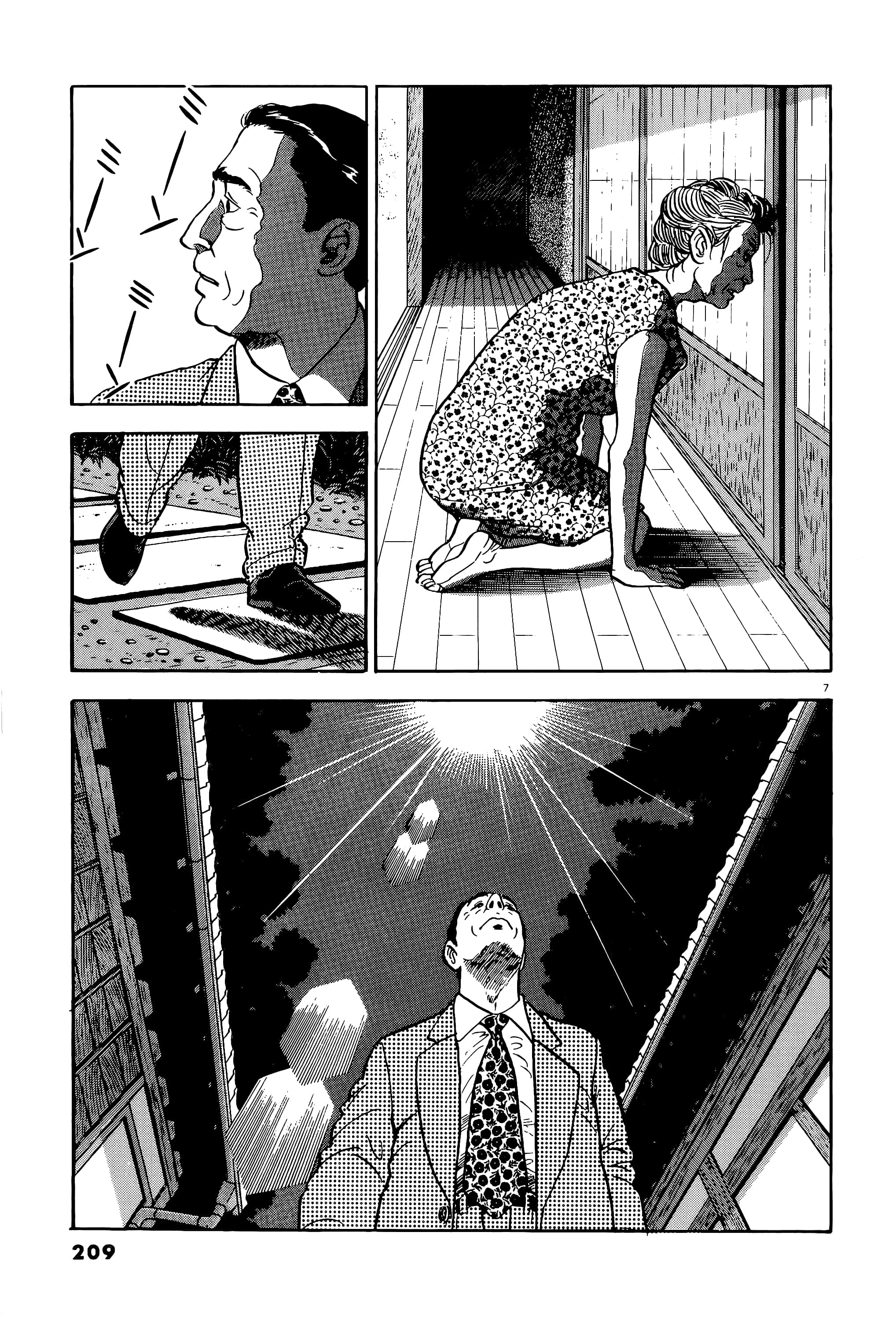 第 209 页