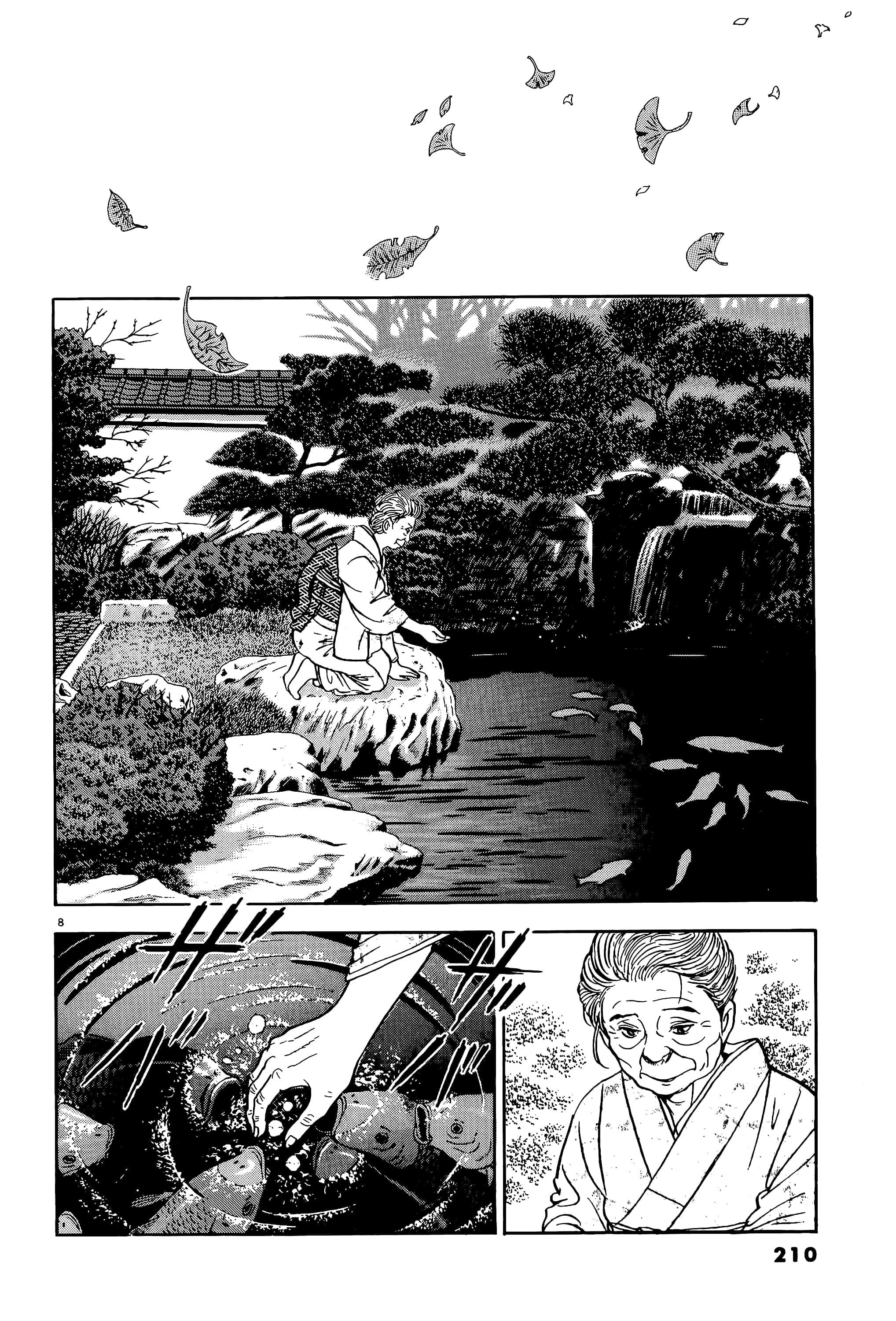 第 210 页