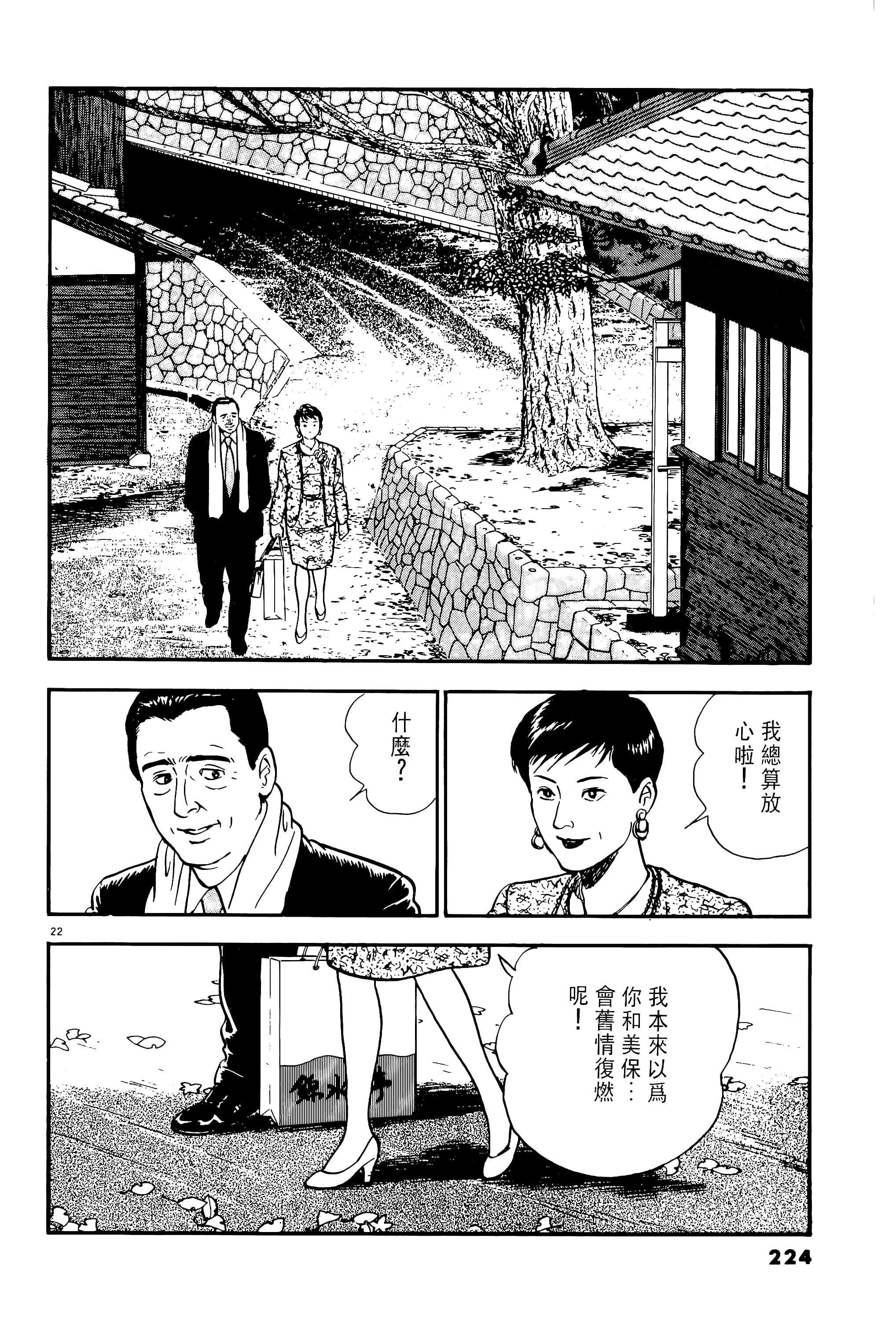 第 224 页