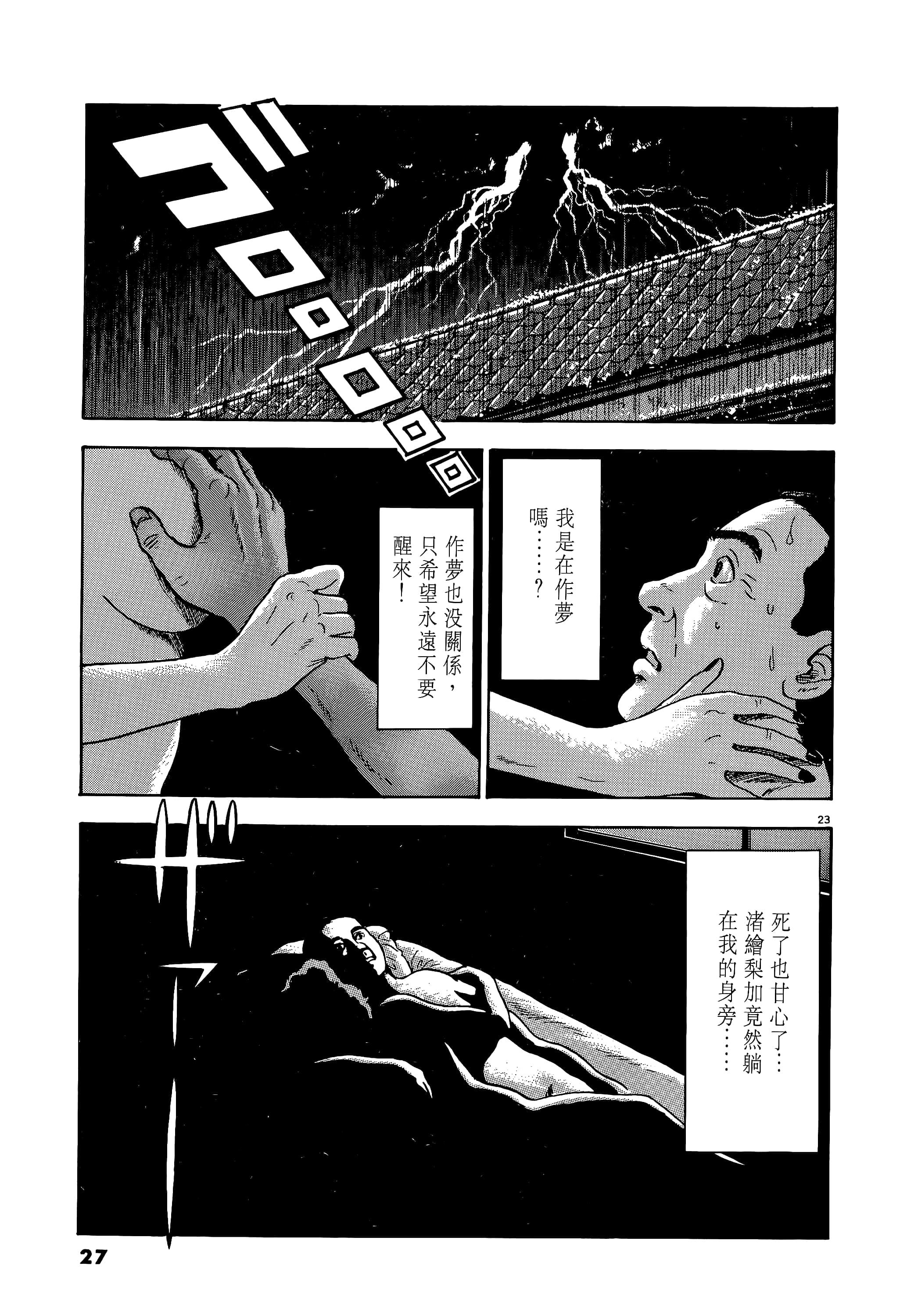 第 27 页