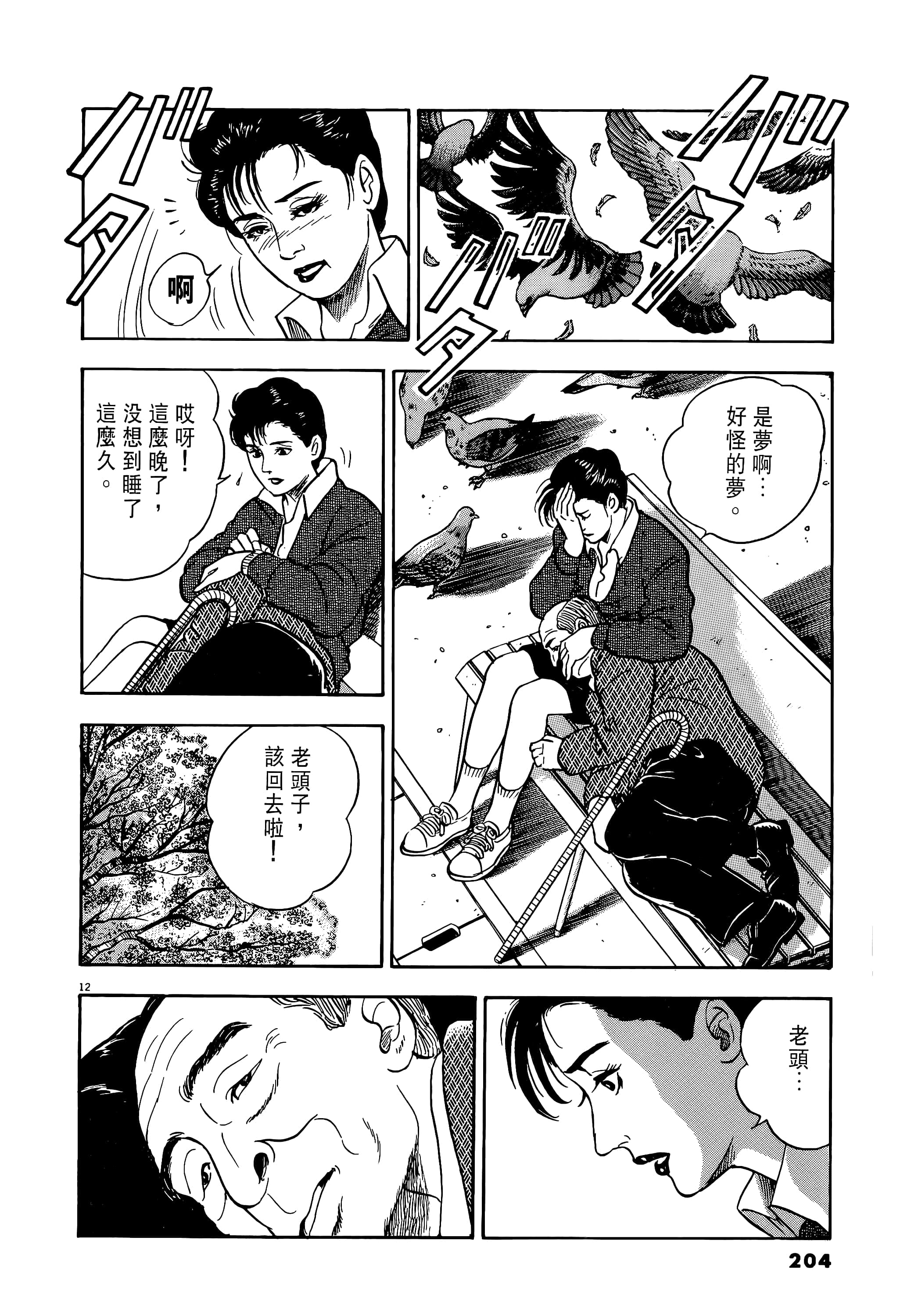 第 204 页
