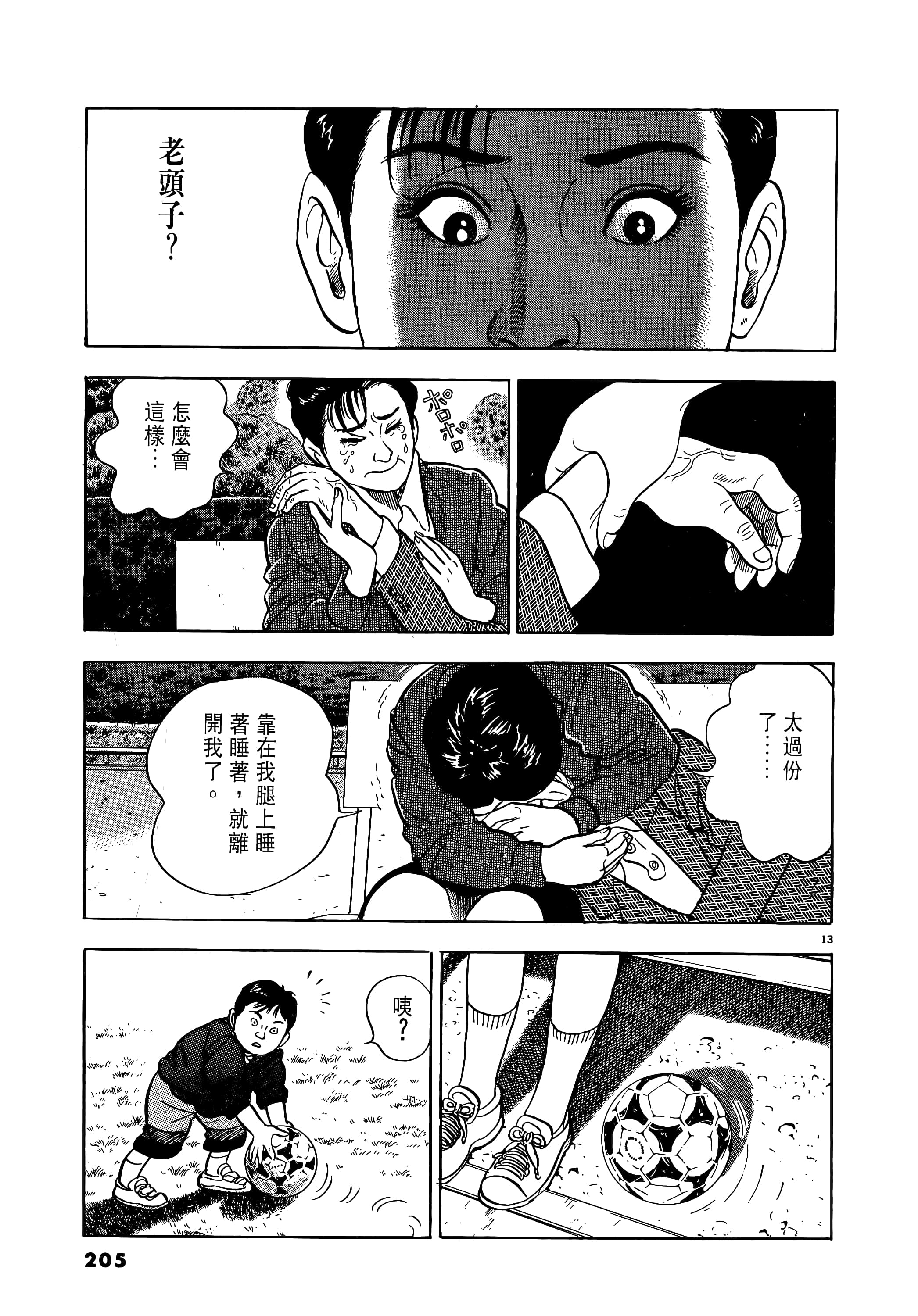 第 205 页
