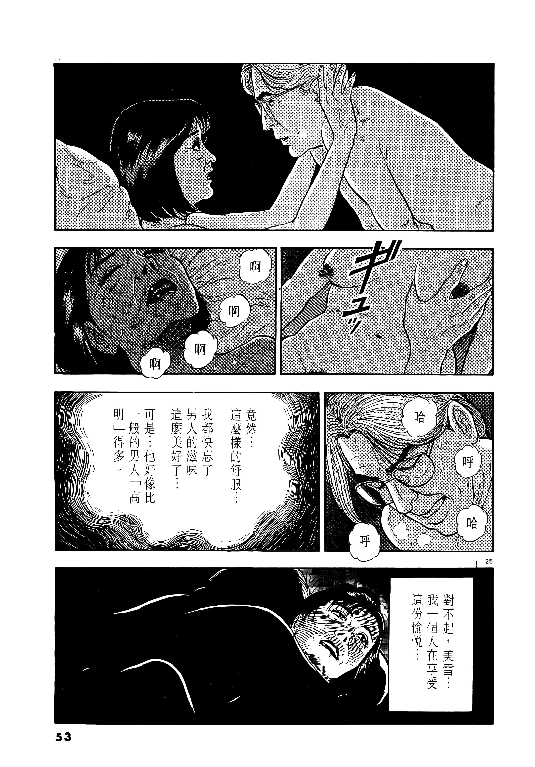 第 53 页