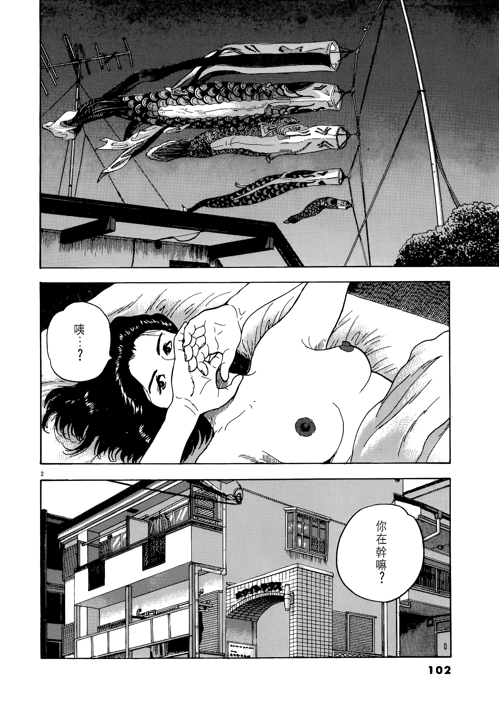 第 102 页