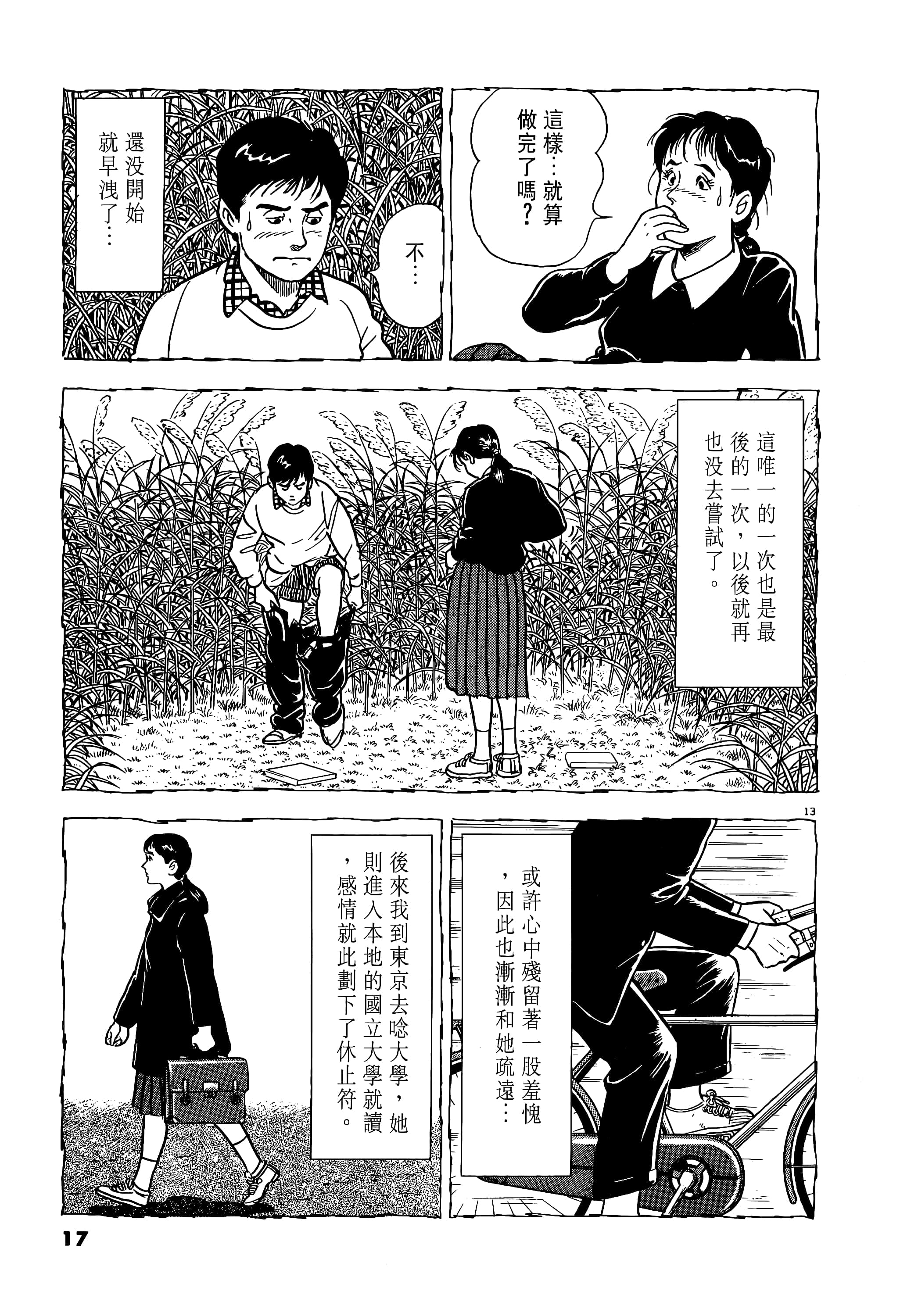 第 17 页