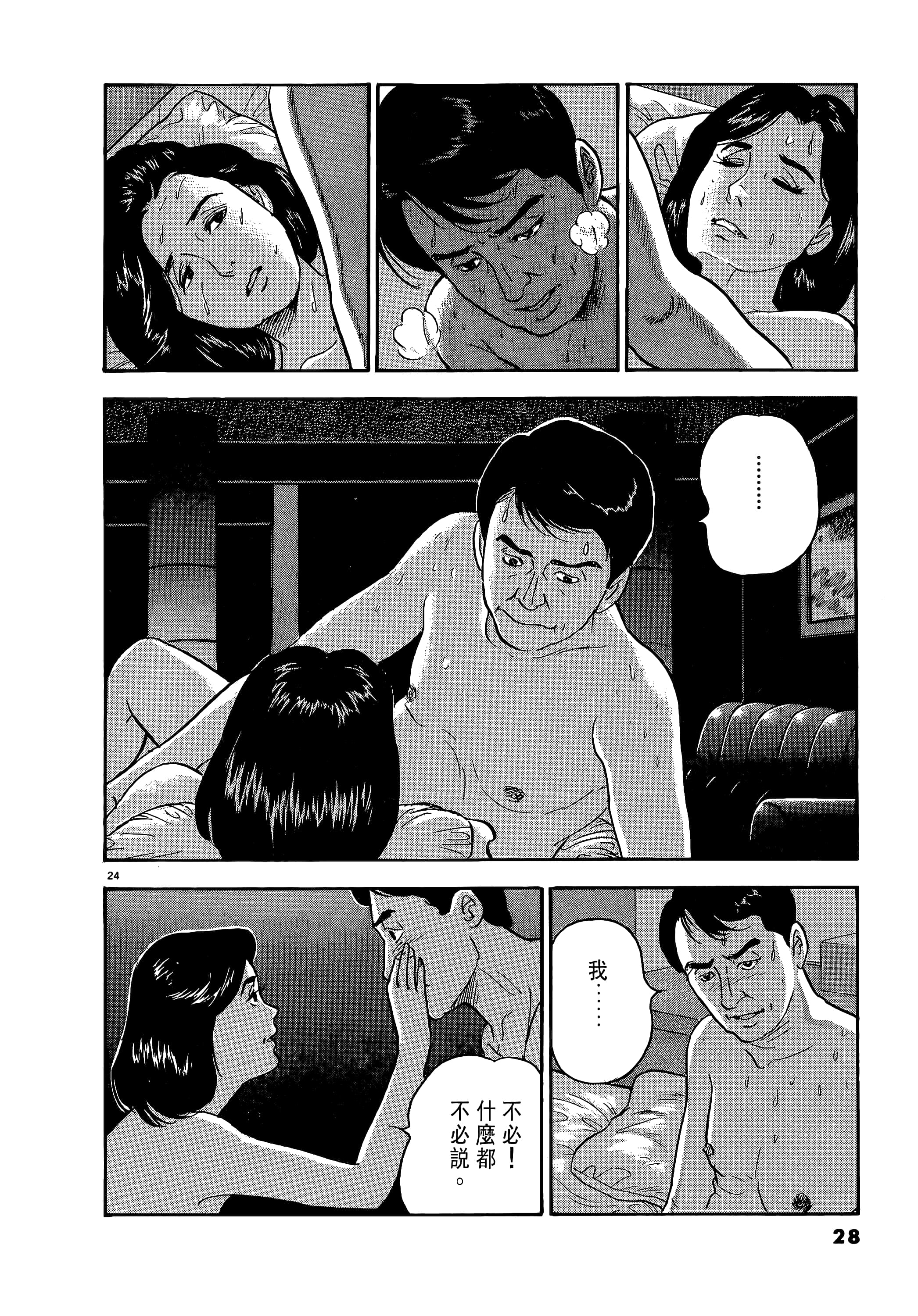 第 28 页