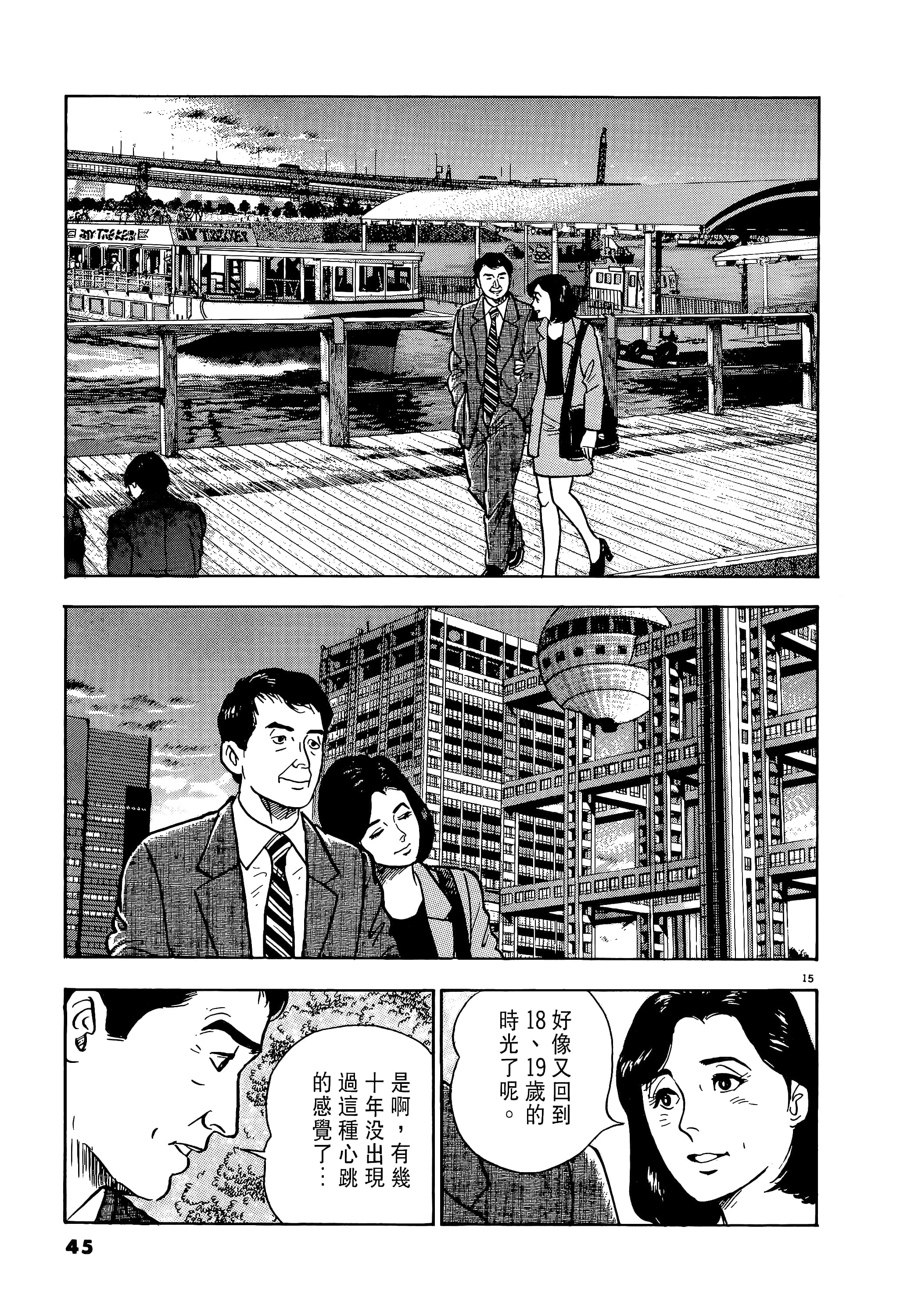 第 45 页