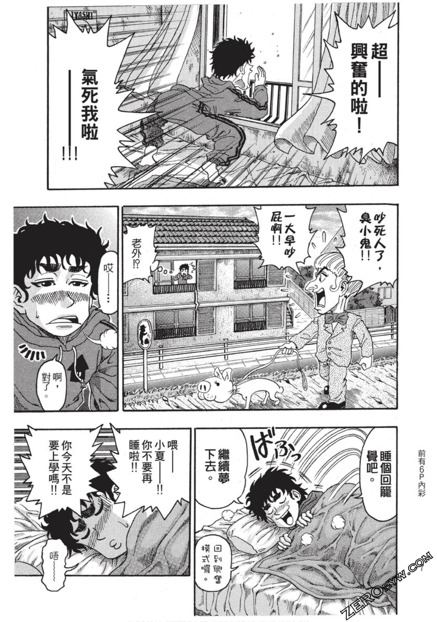 第 8 页
