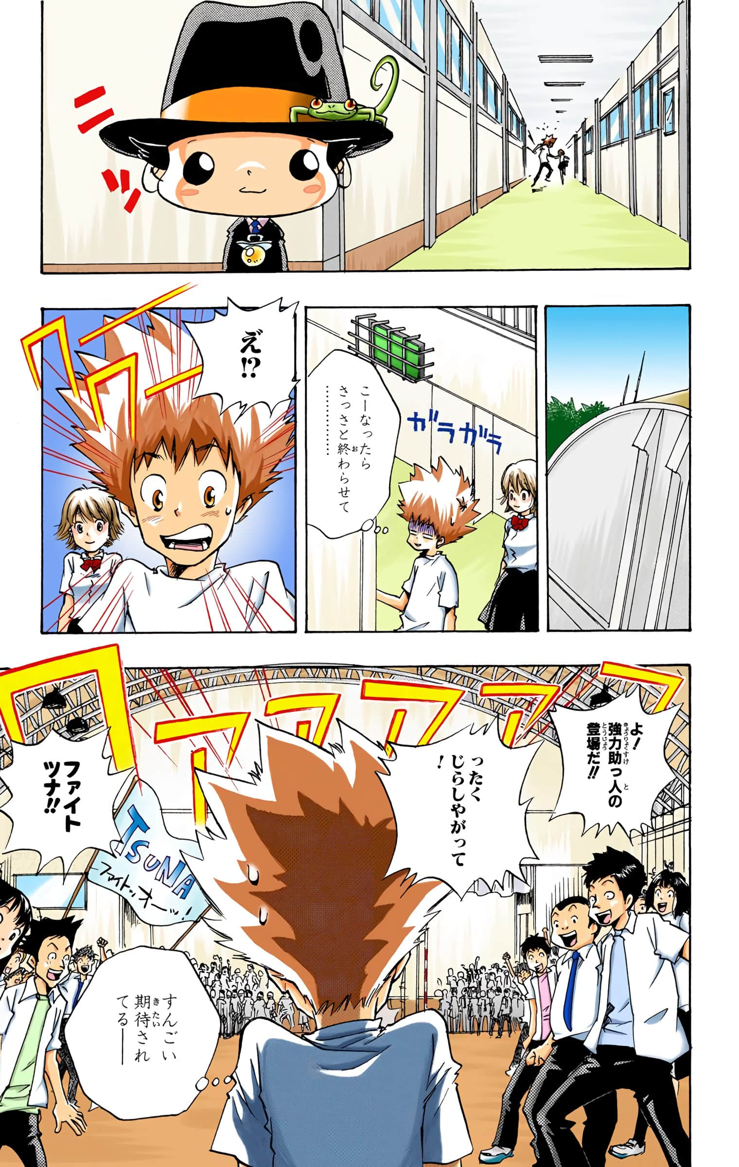Page 66