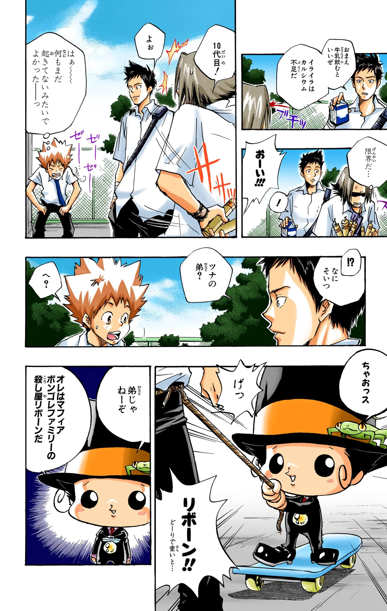 Page 7