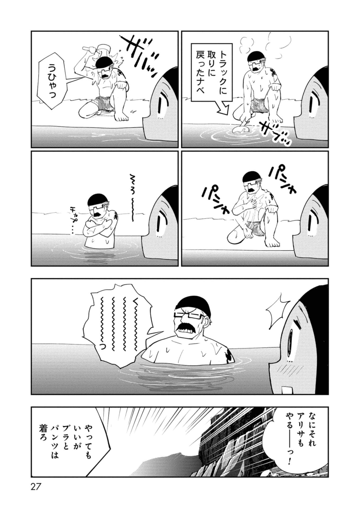 Page 27