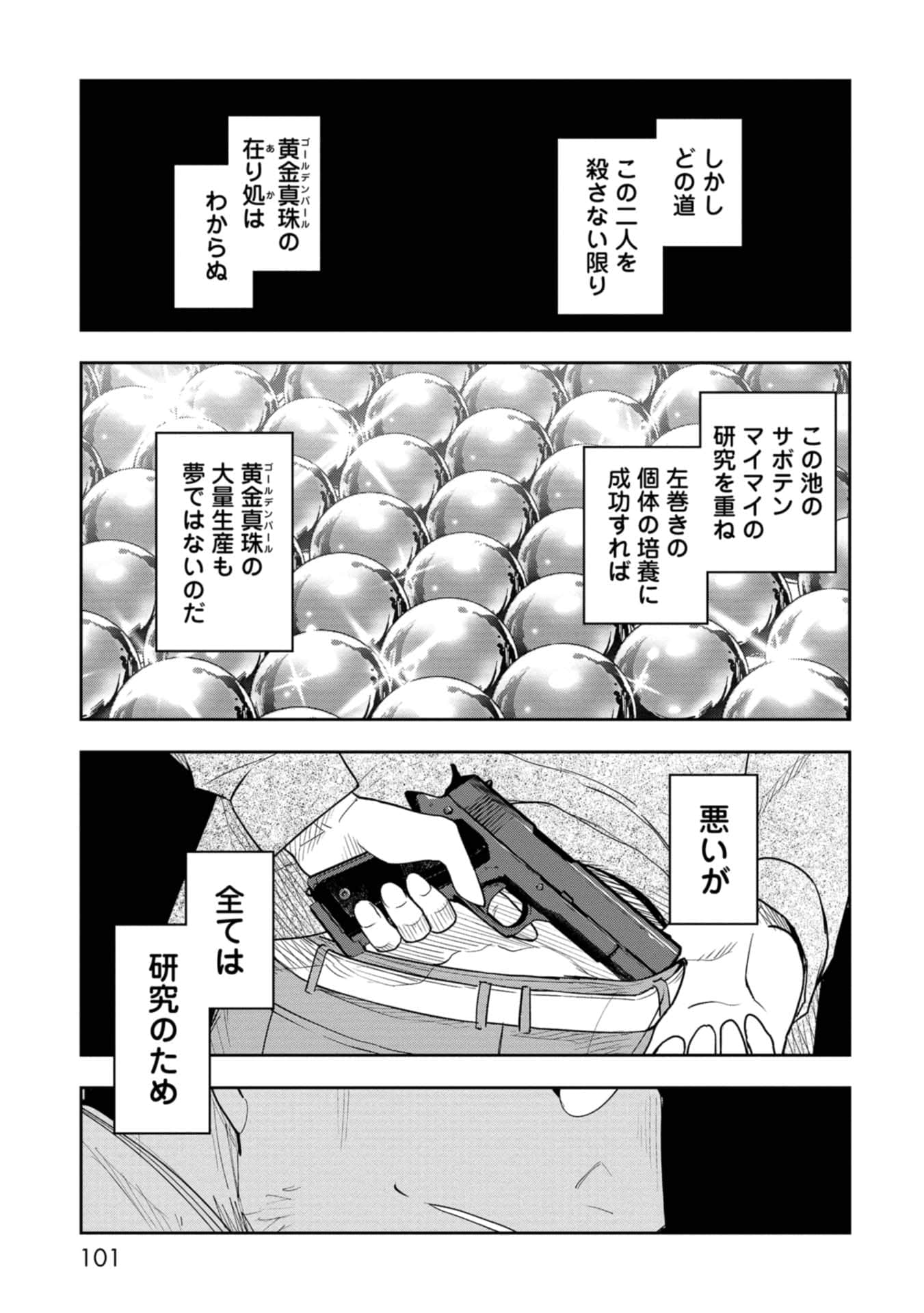 Page 101