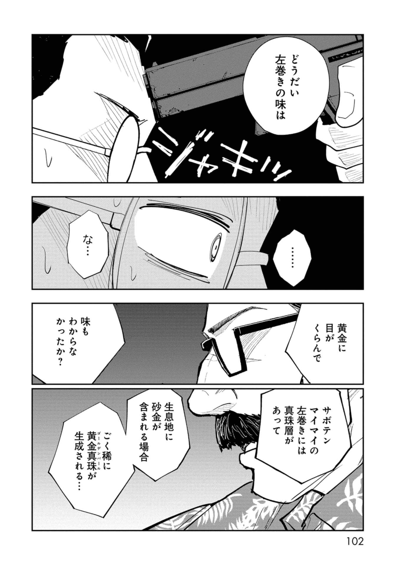 Page 102
