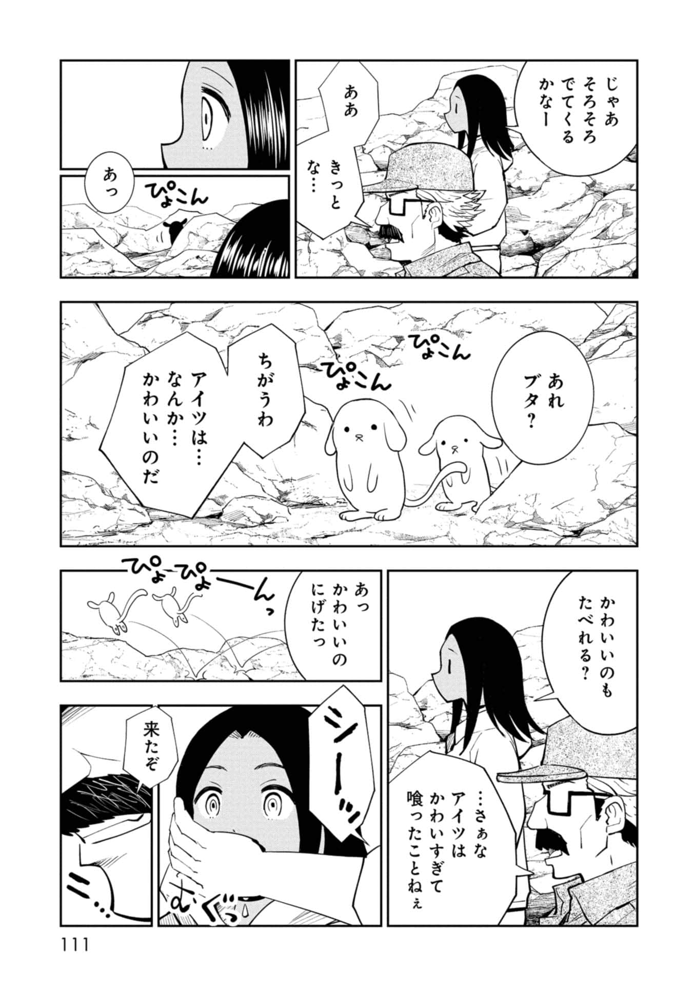 Page 111
