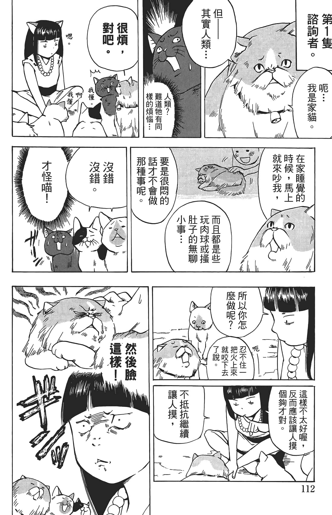 Page 111