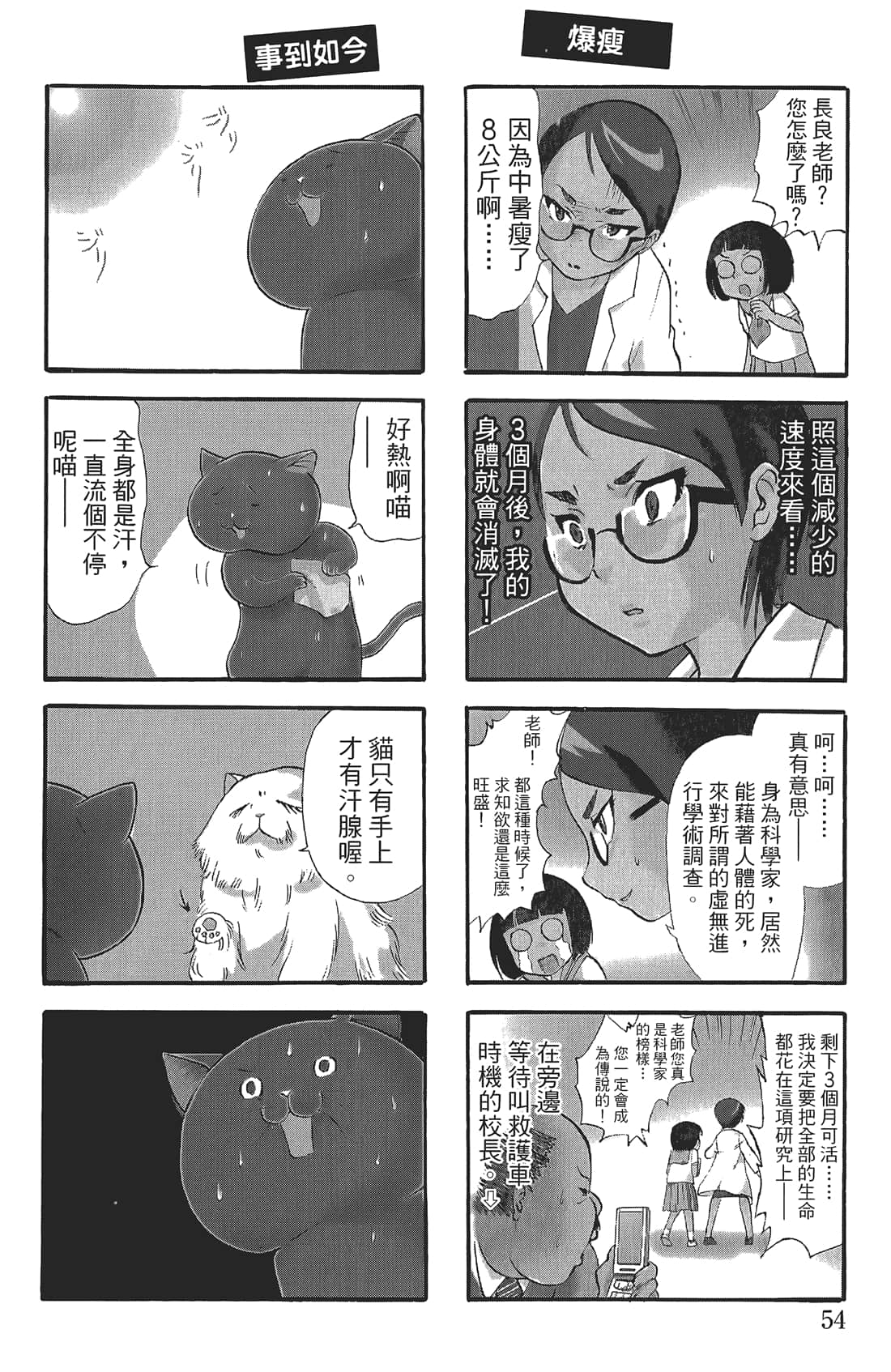 Page 53