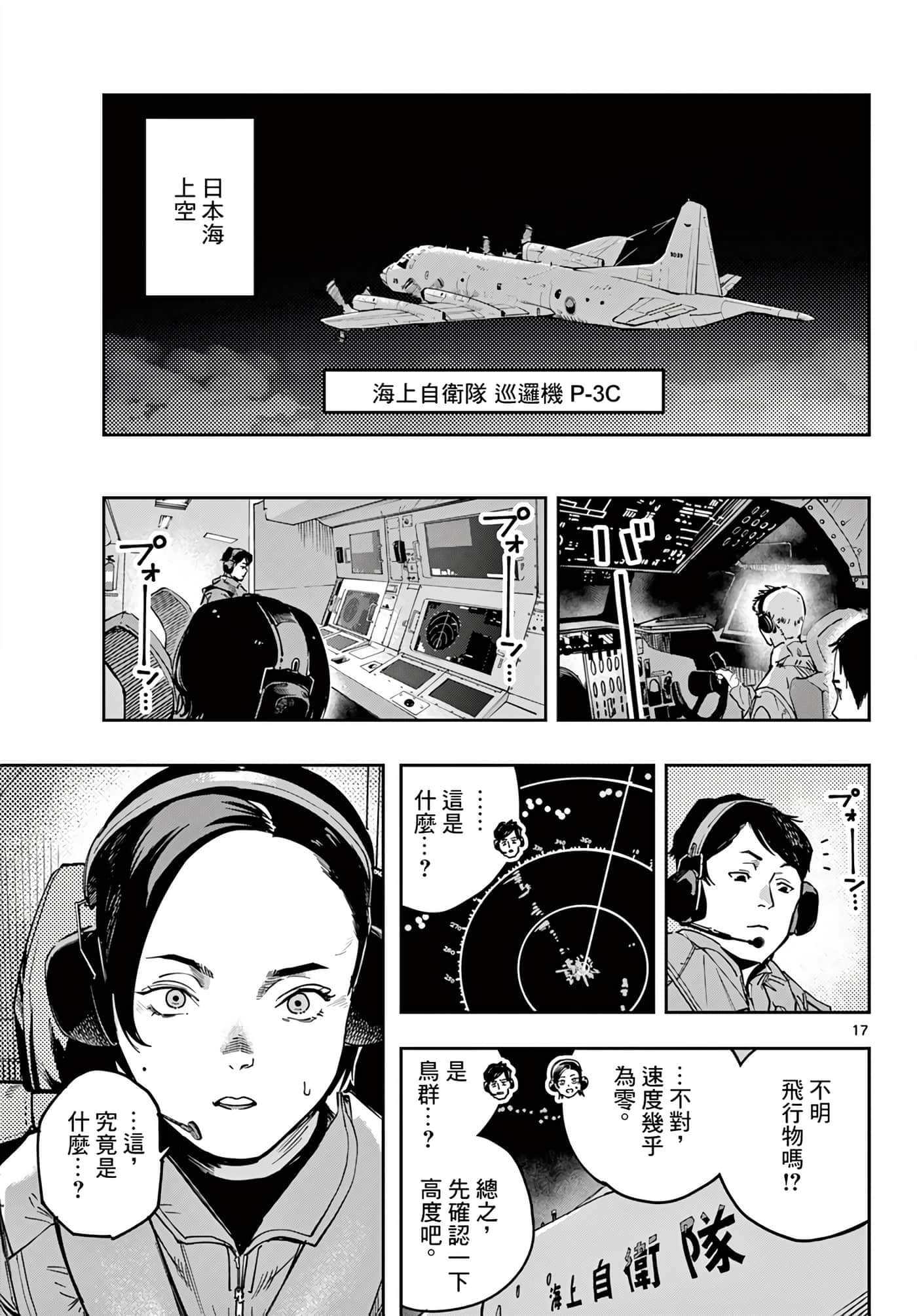 Page 17