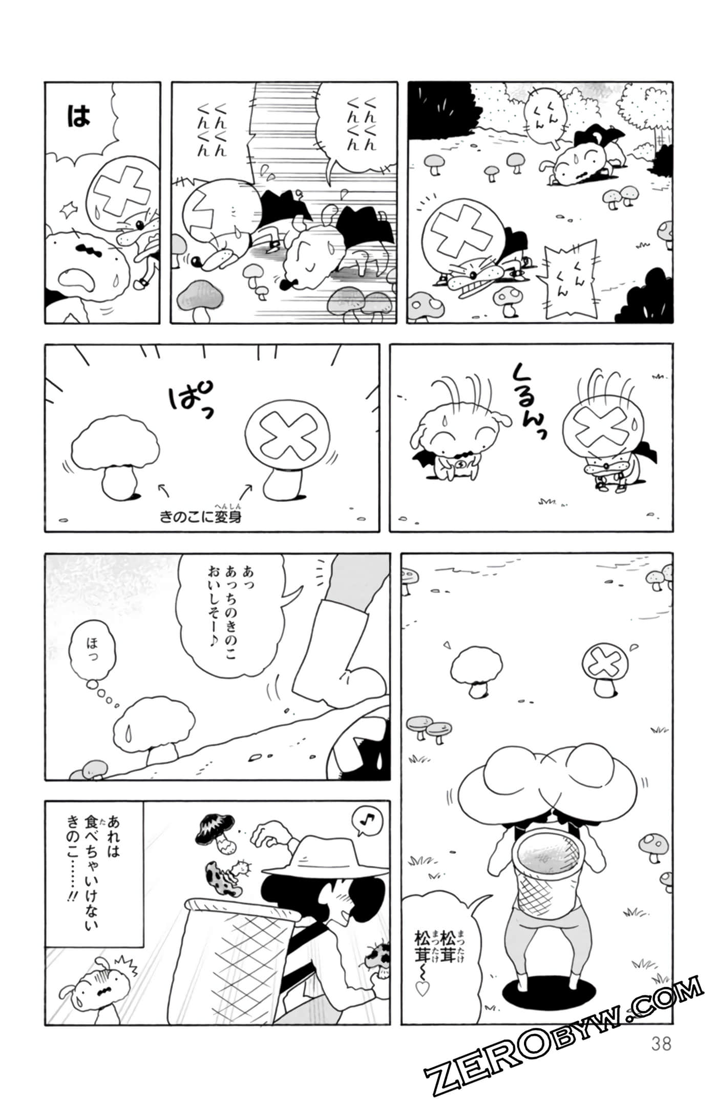 Page 37
