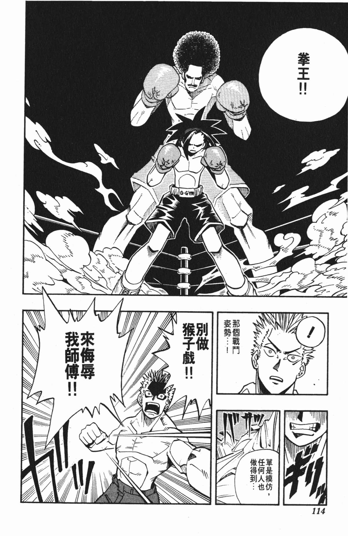 Page 113