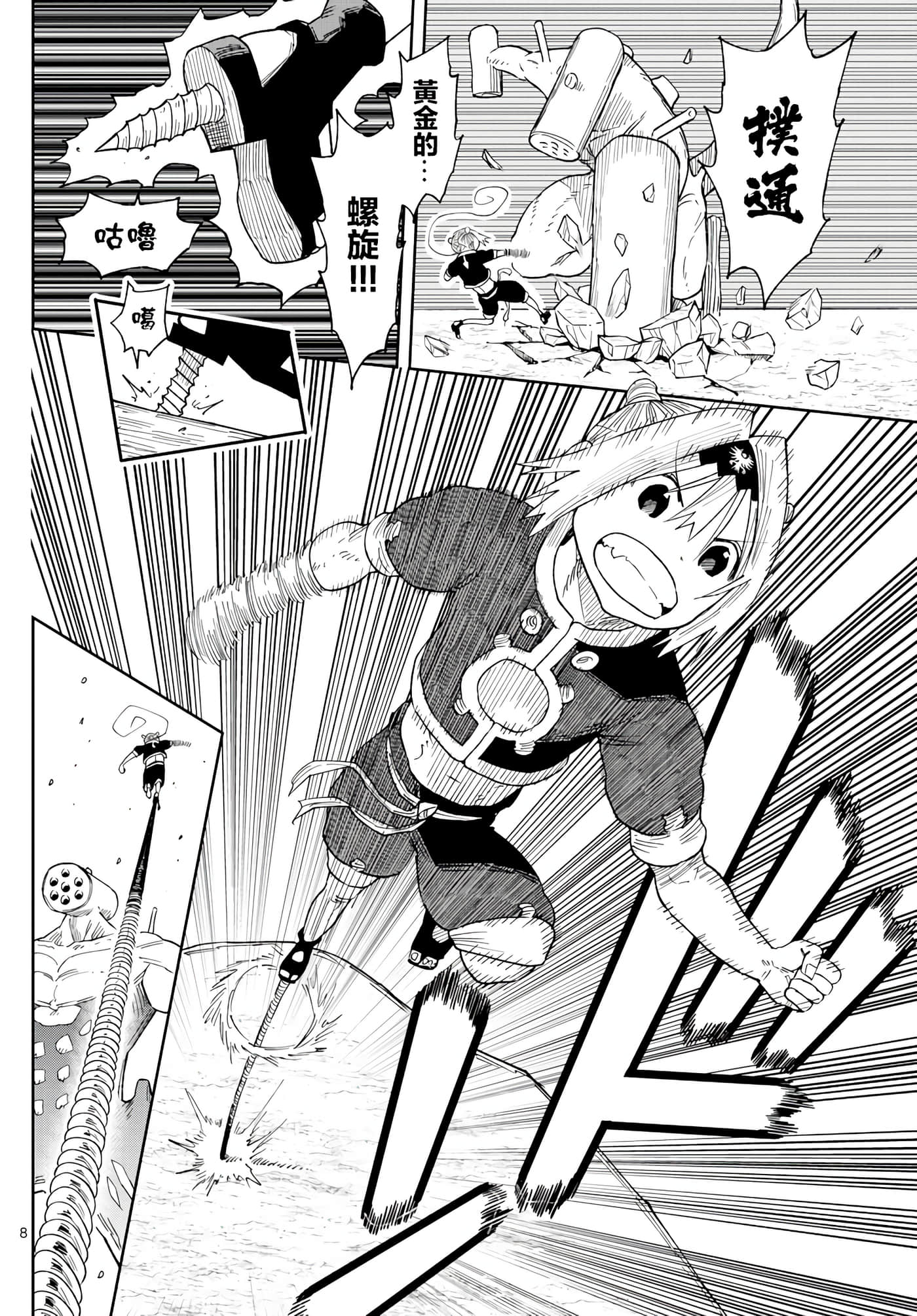 第 8 页