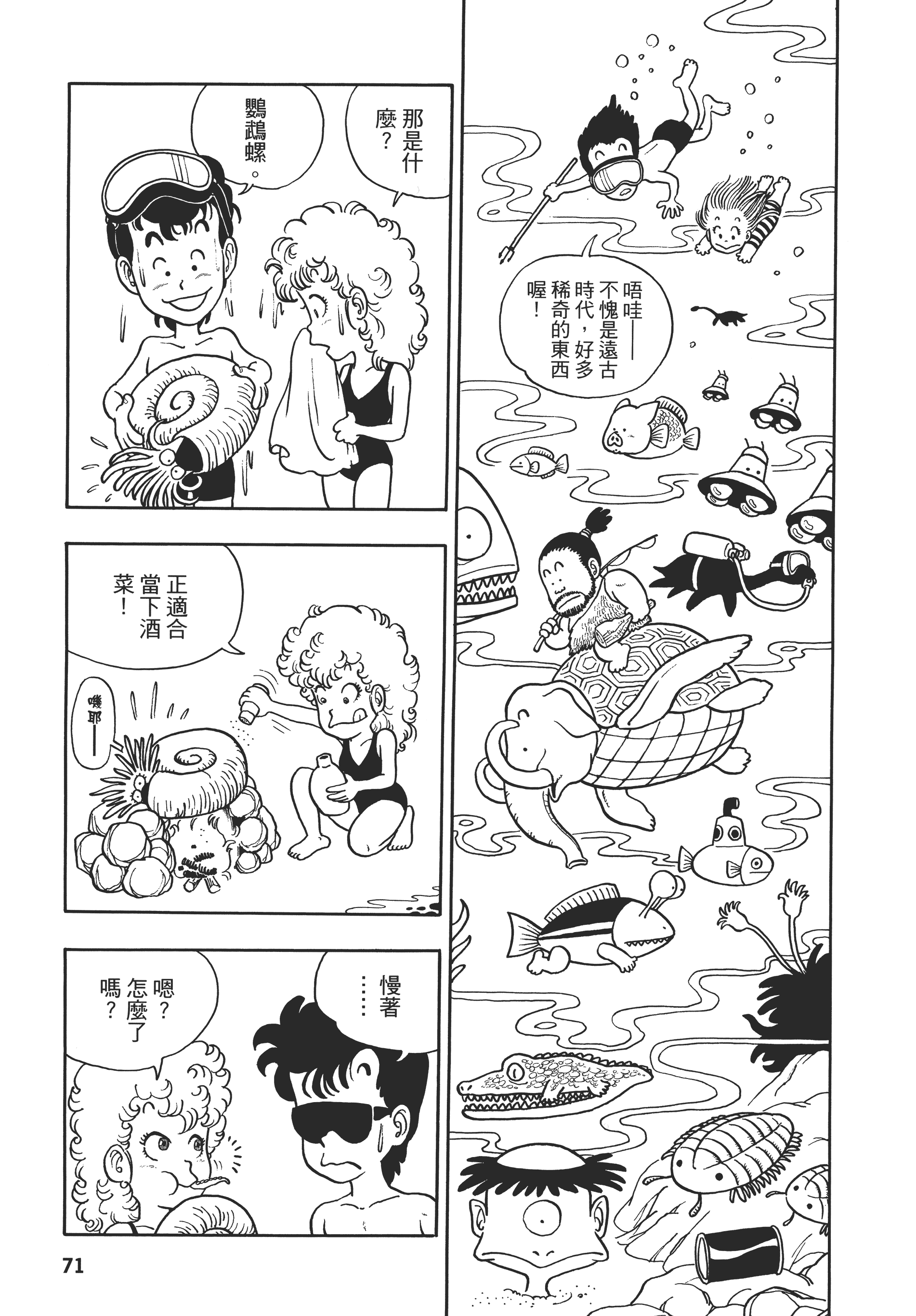 第 71 页