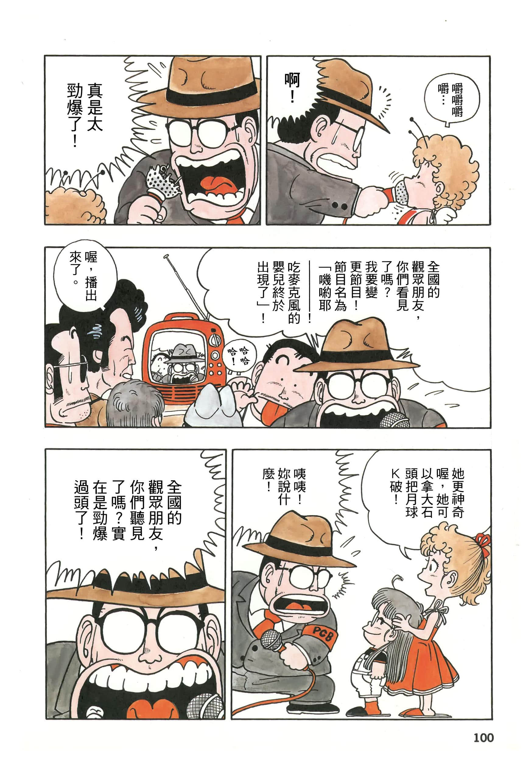 第 100 页