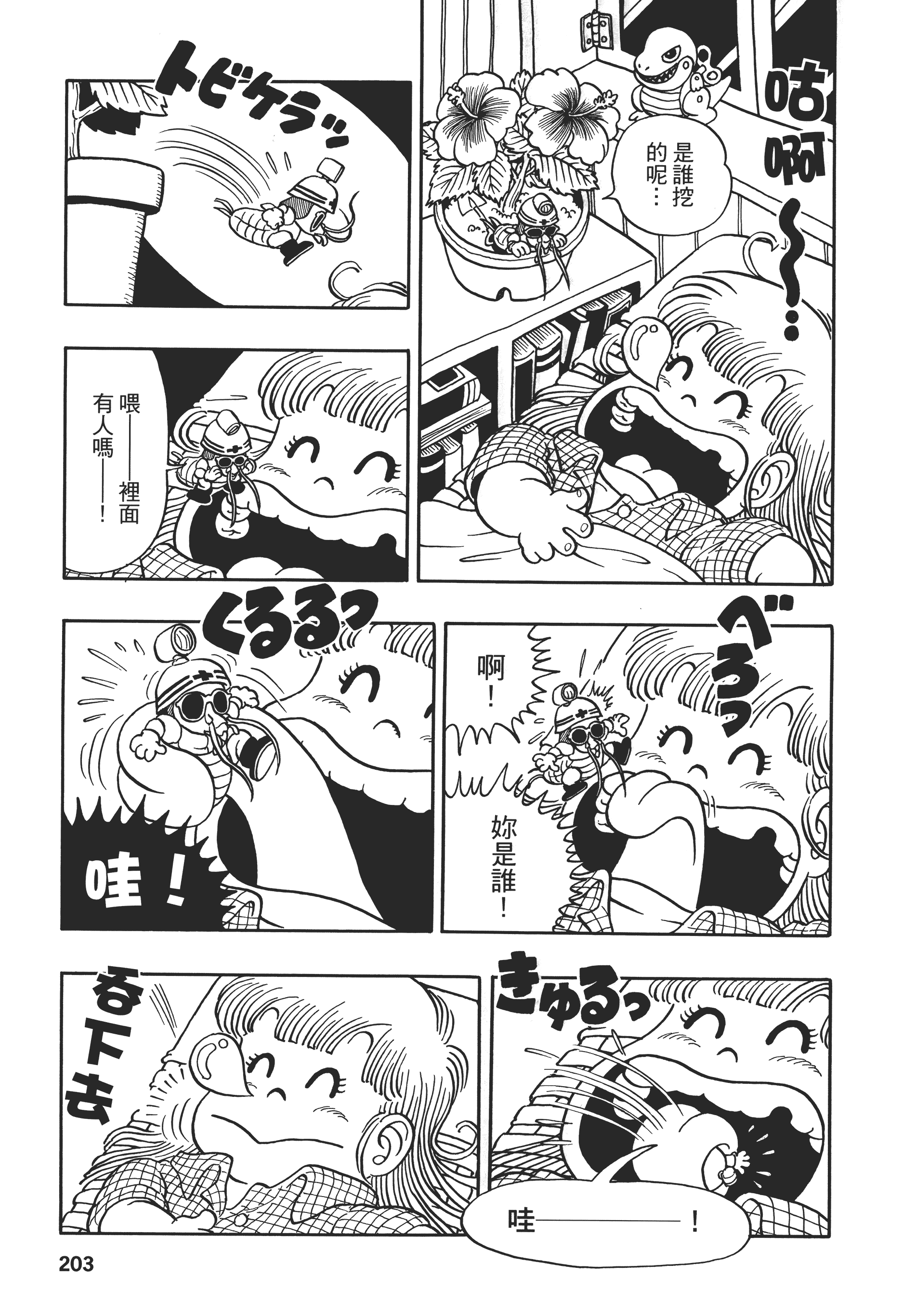 第 203 页