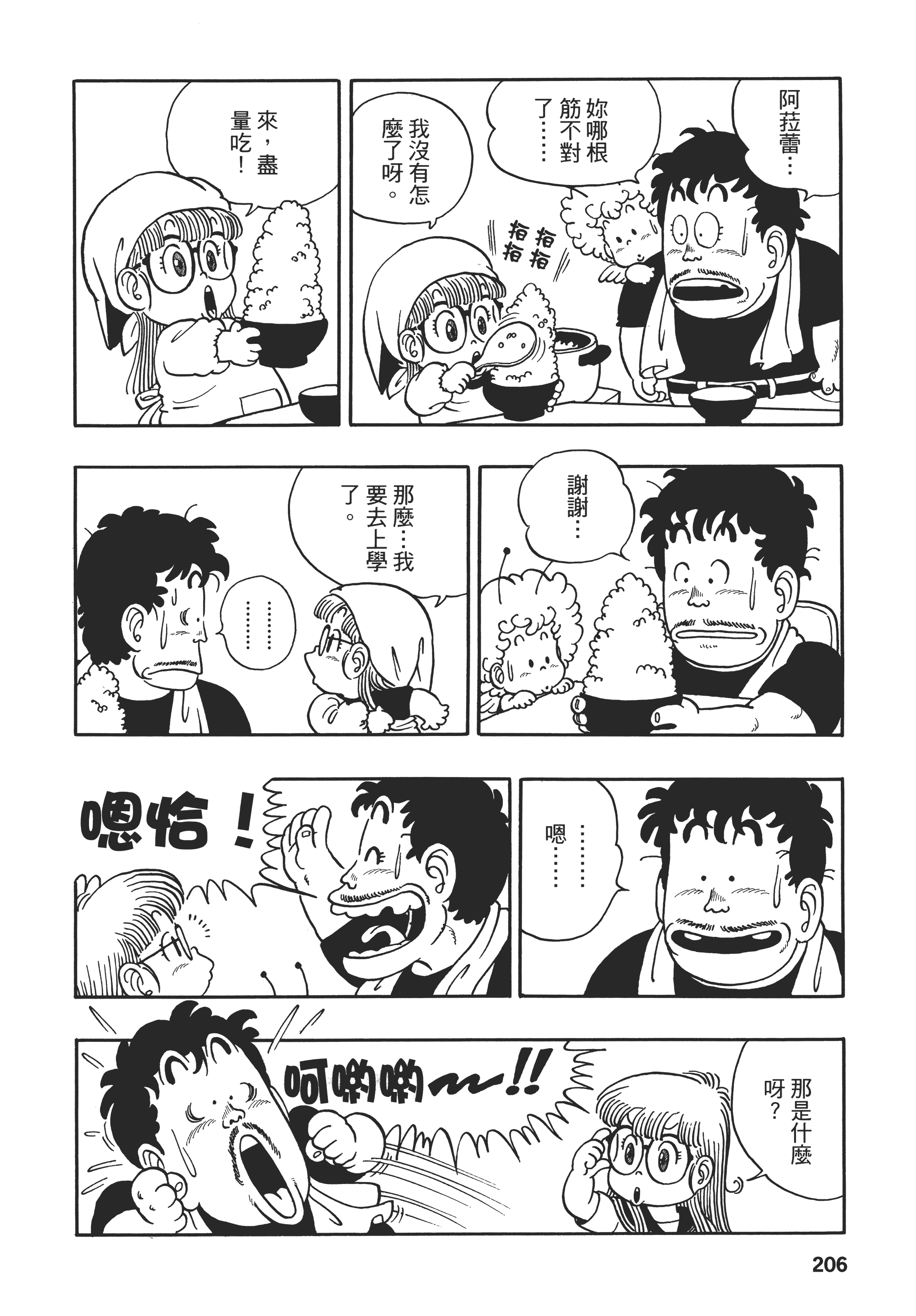 第 206 页