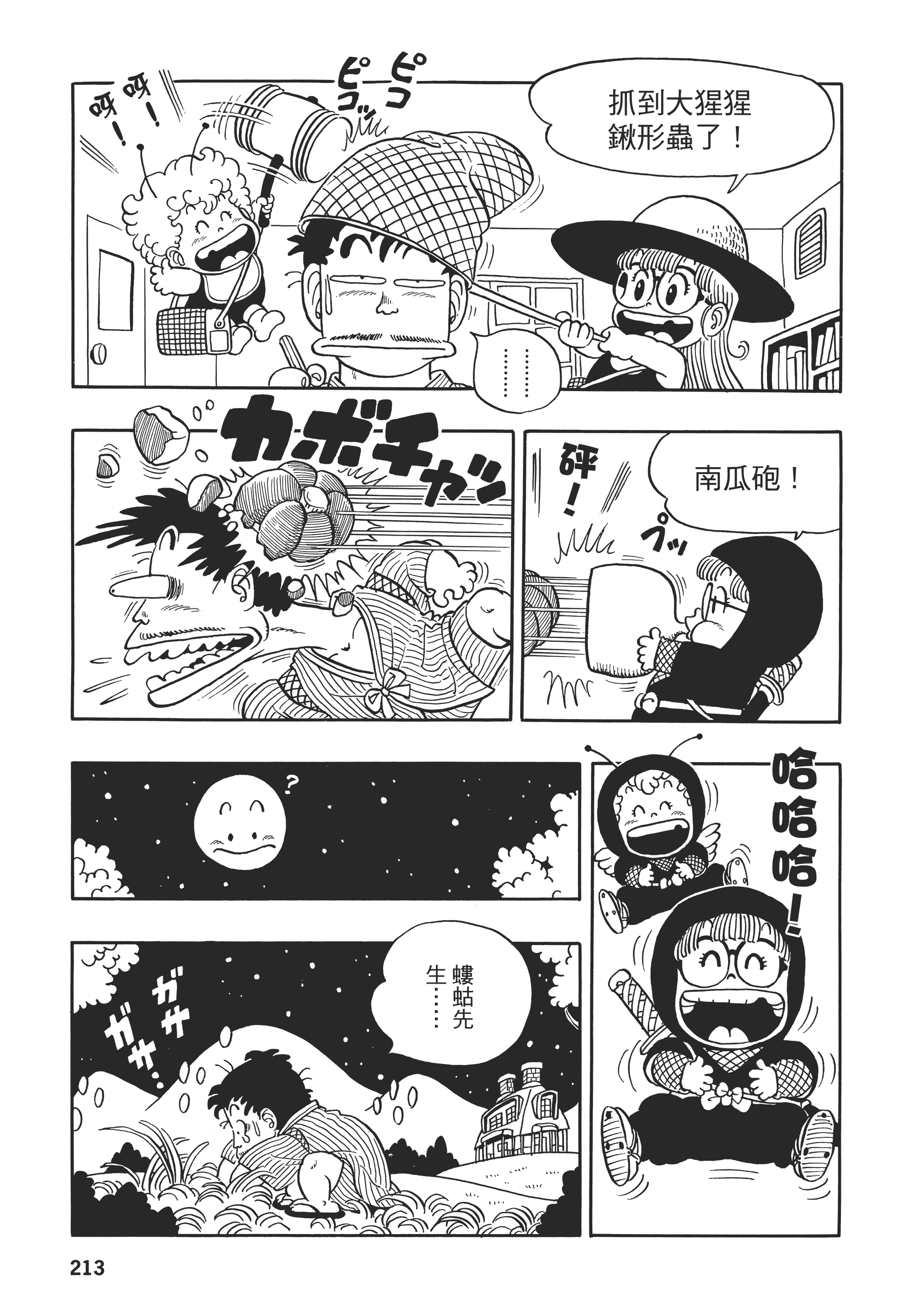 第 213 页