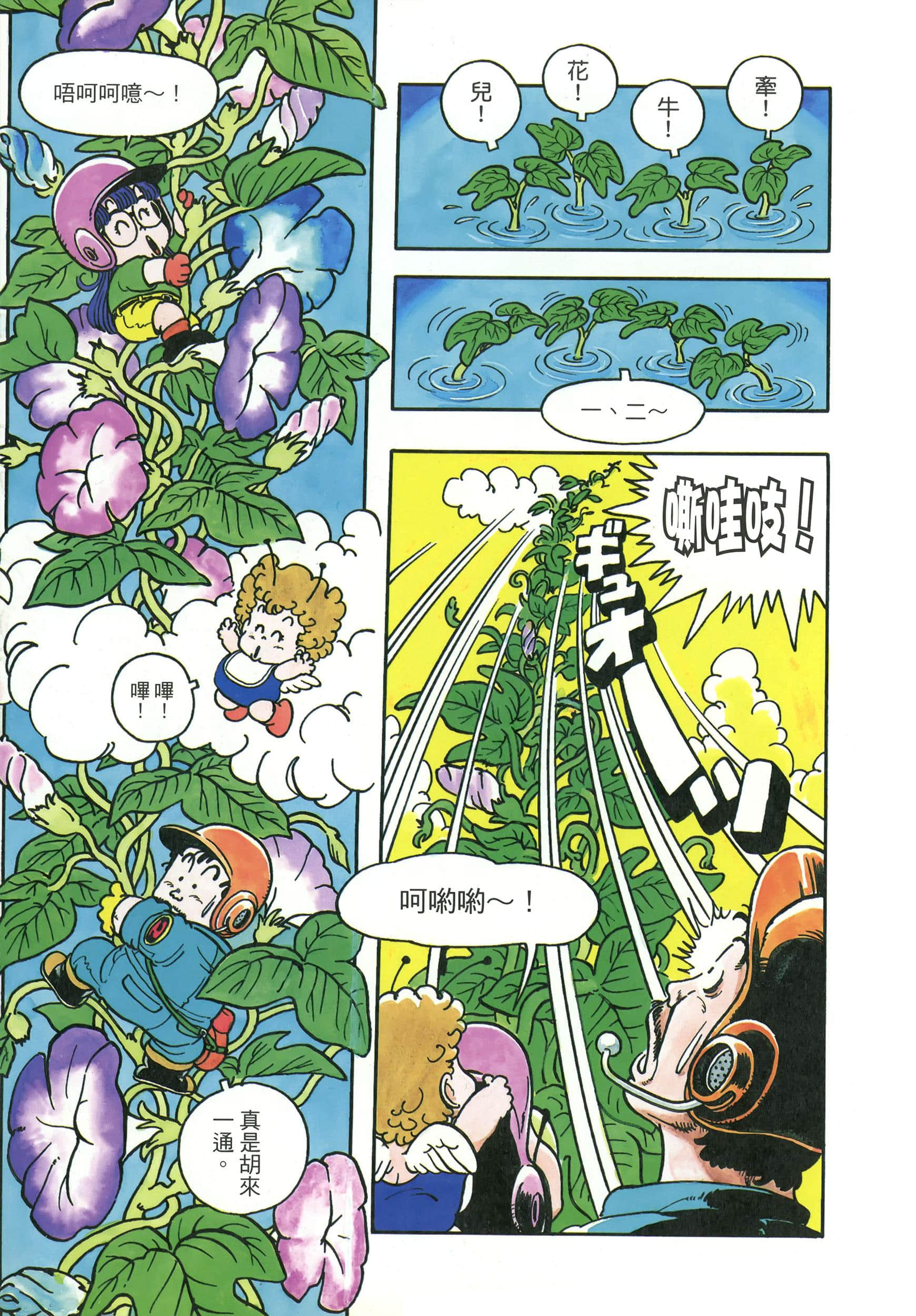第 236 页