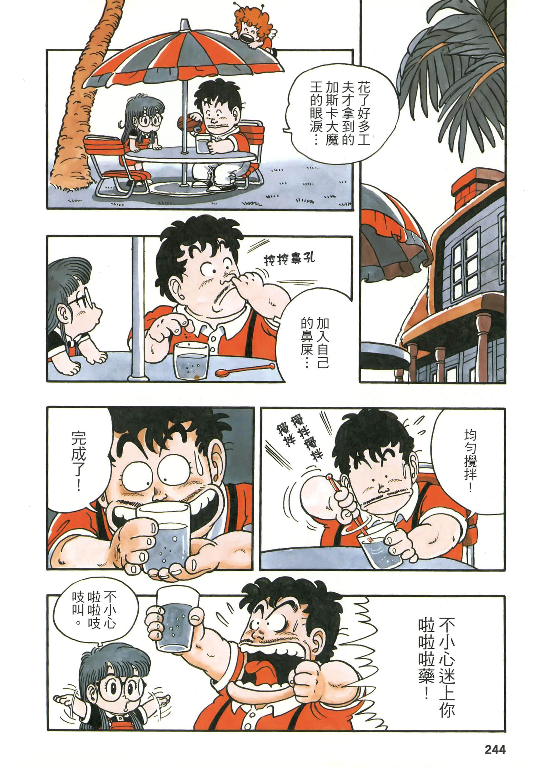 第 243 页
