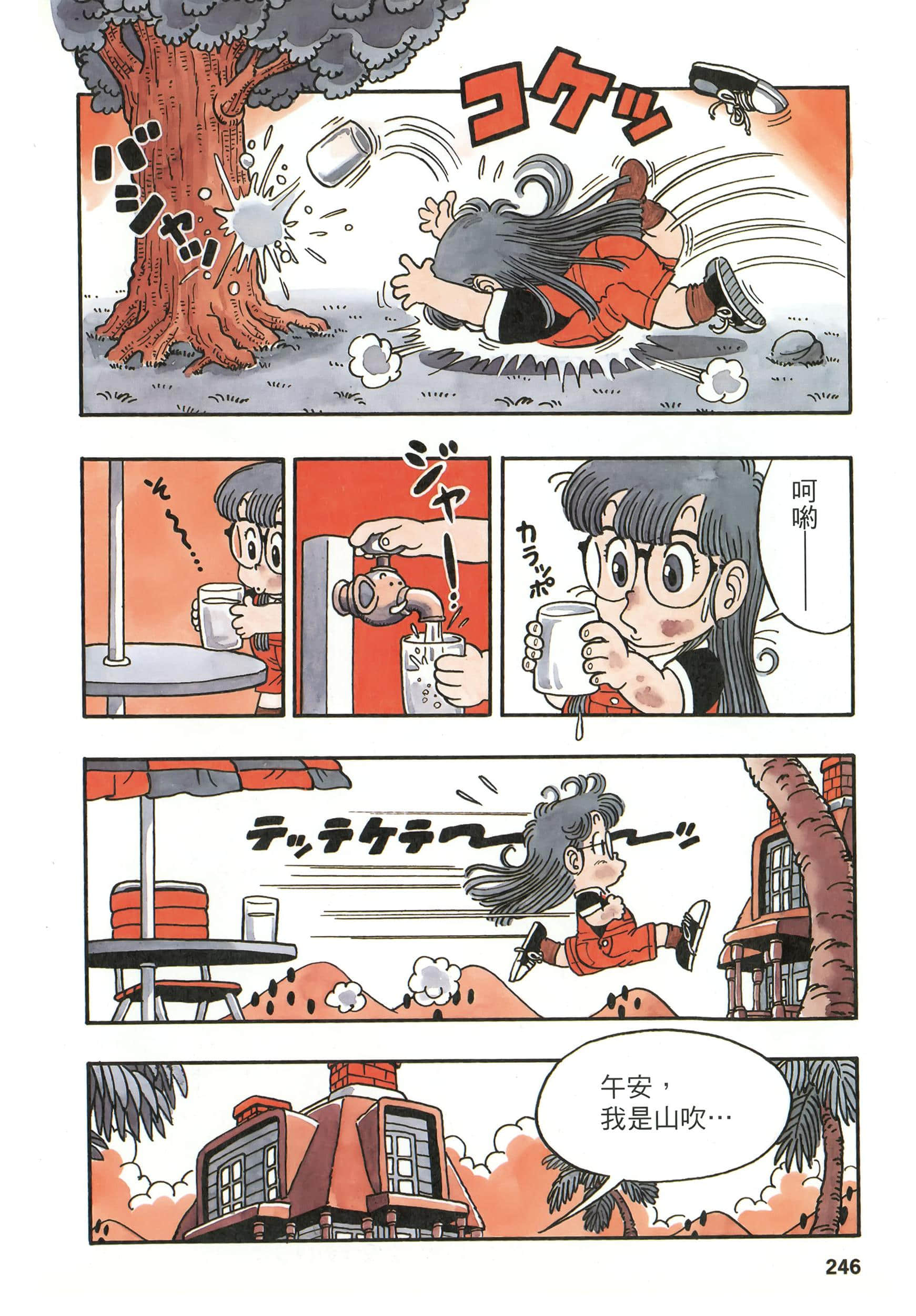 第 245 页
