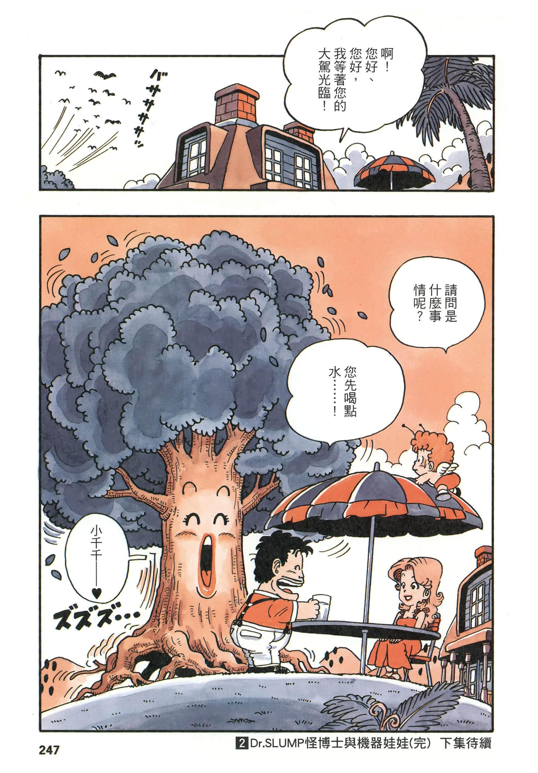 第 246 页