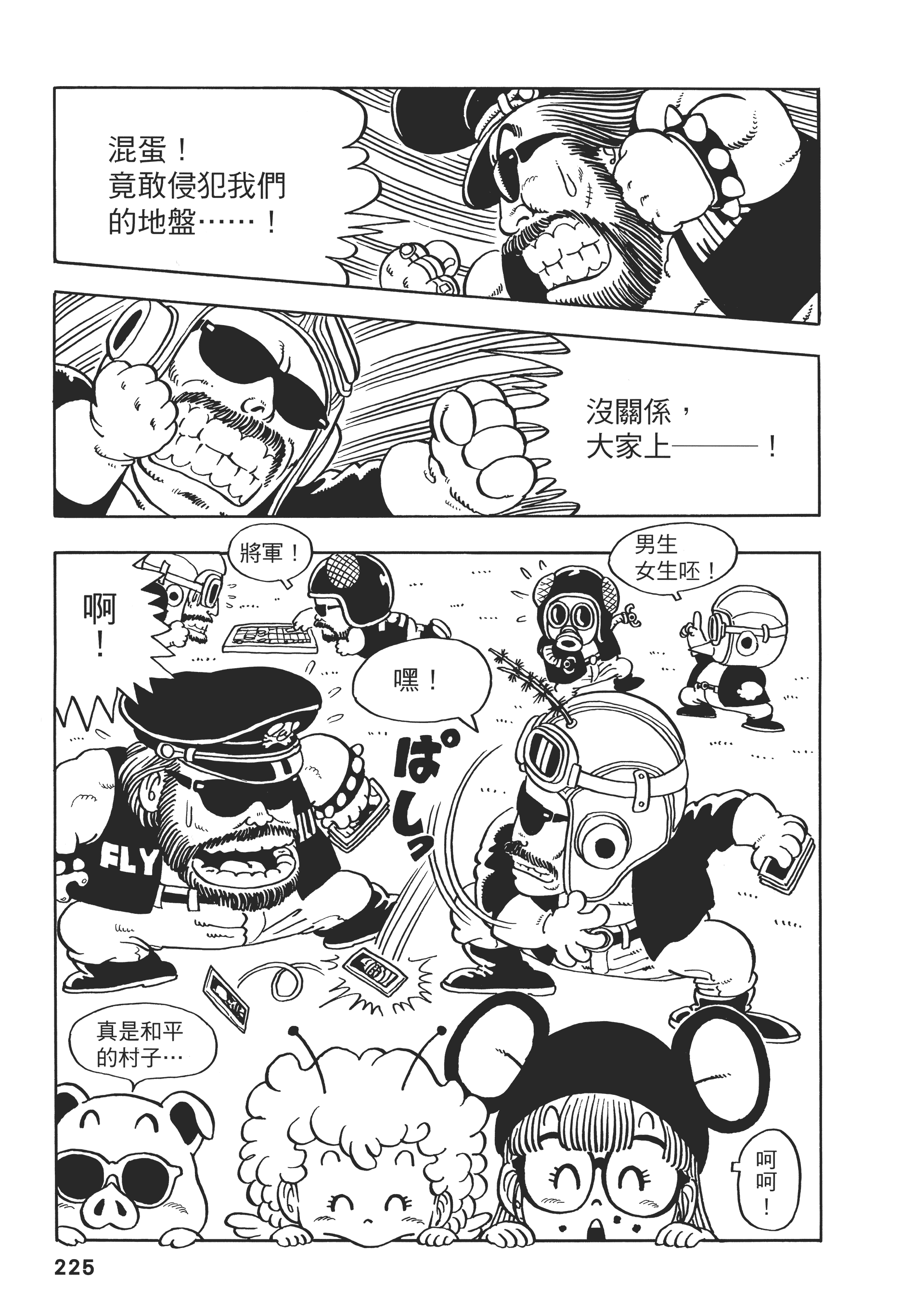 Page 225