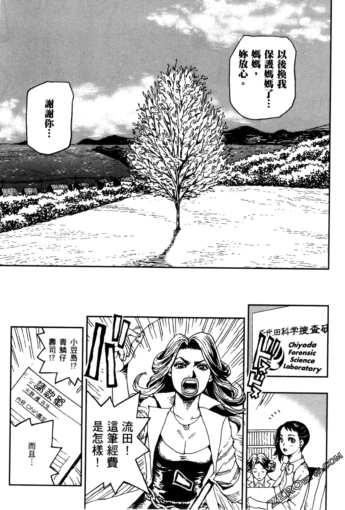 Page 106