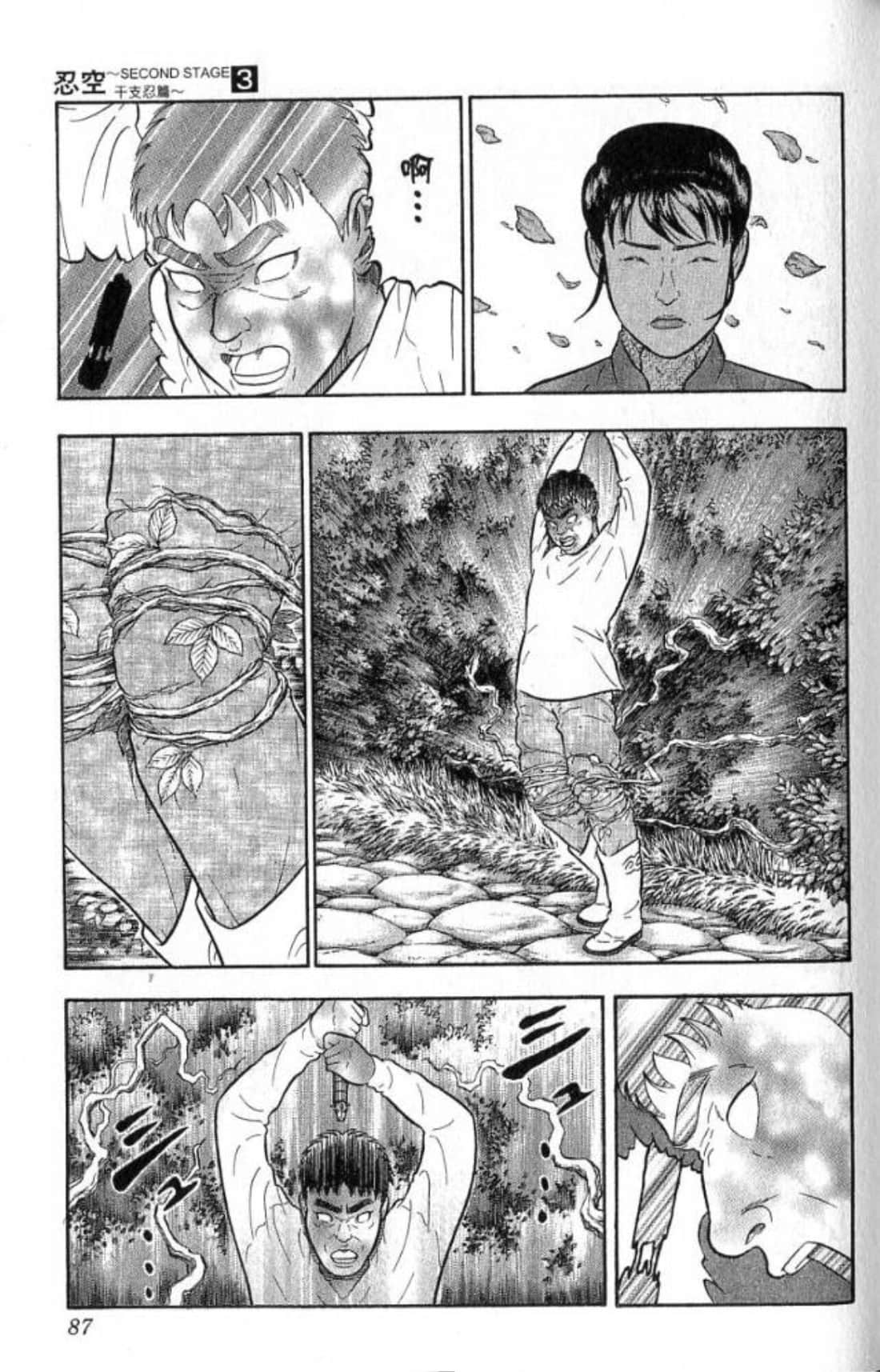 Page 87