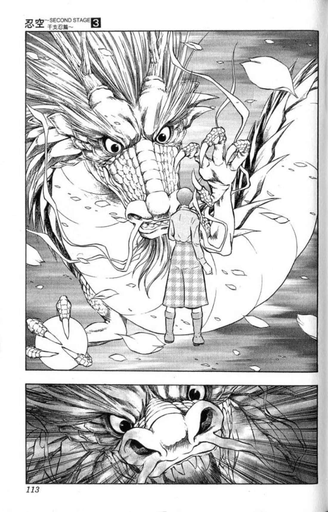Page 113