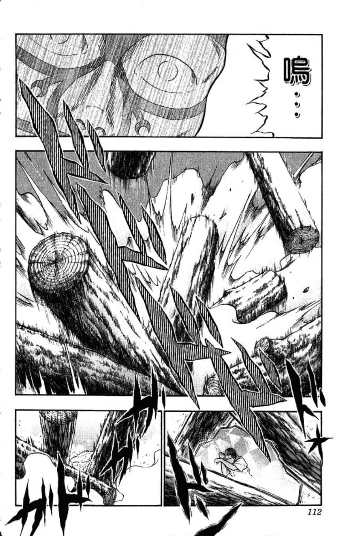 Page 111