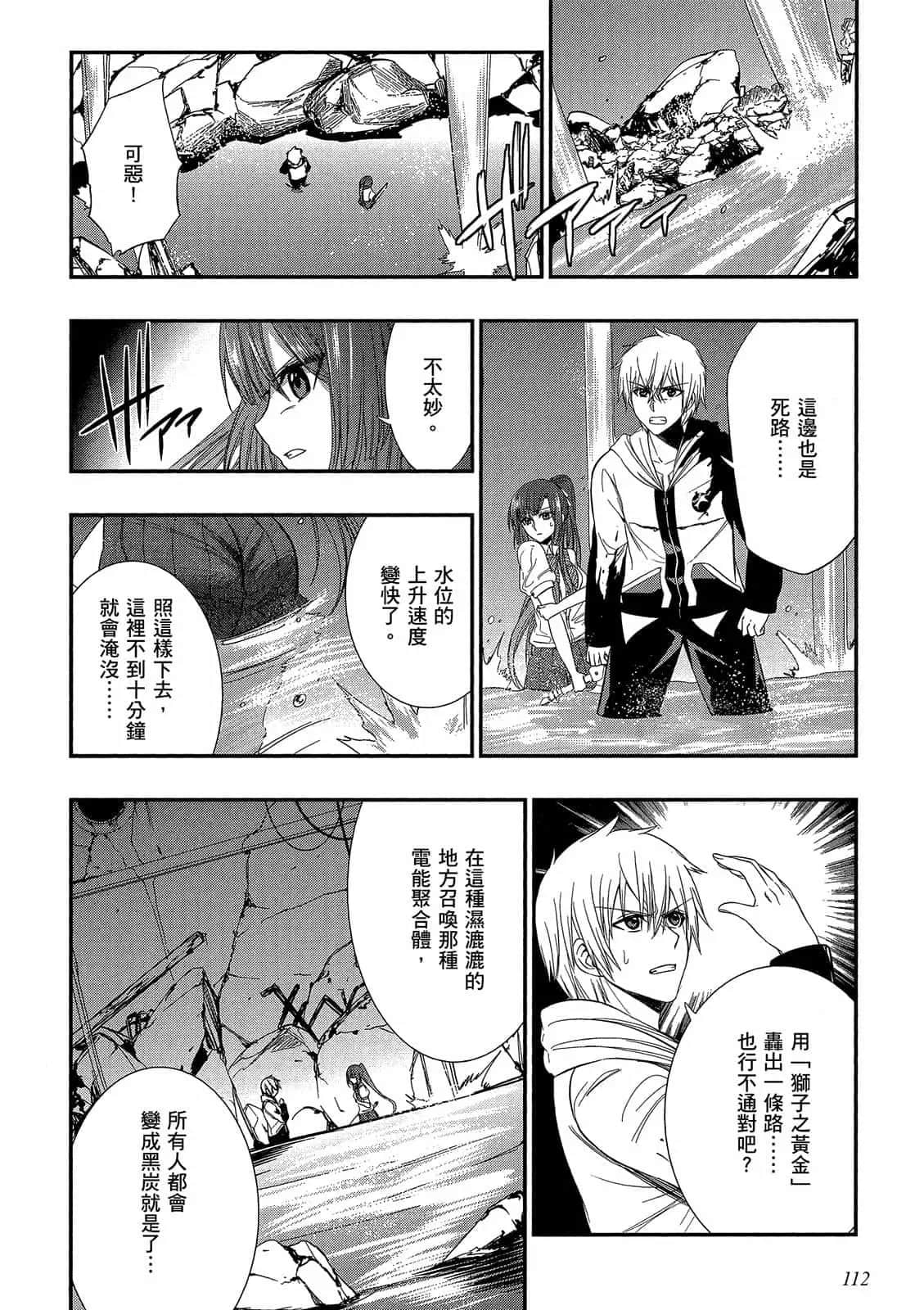 Page 113