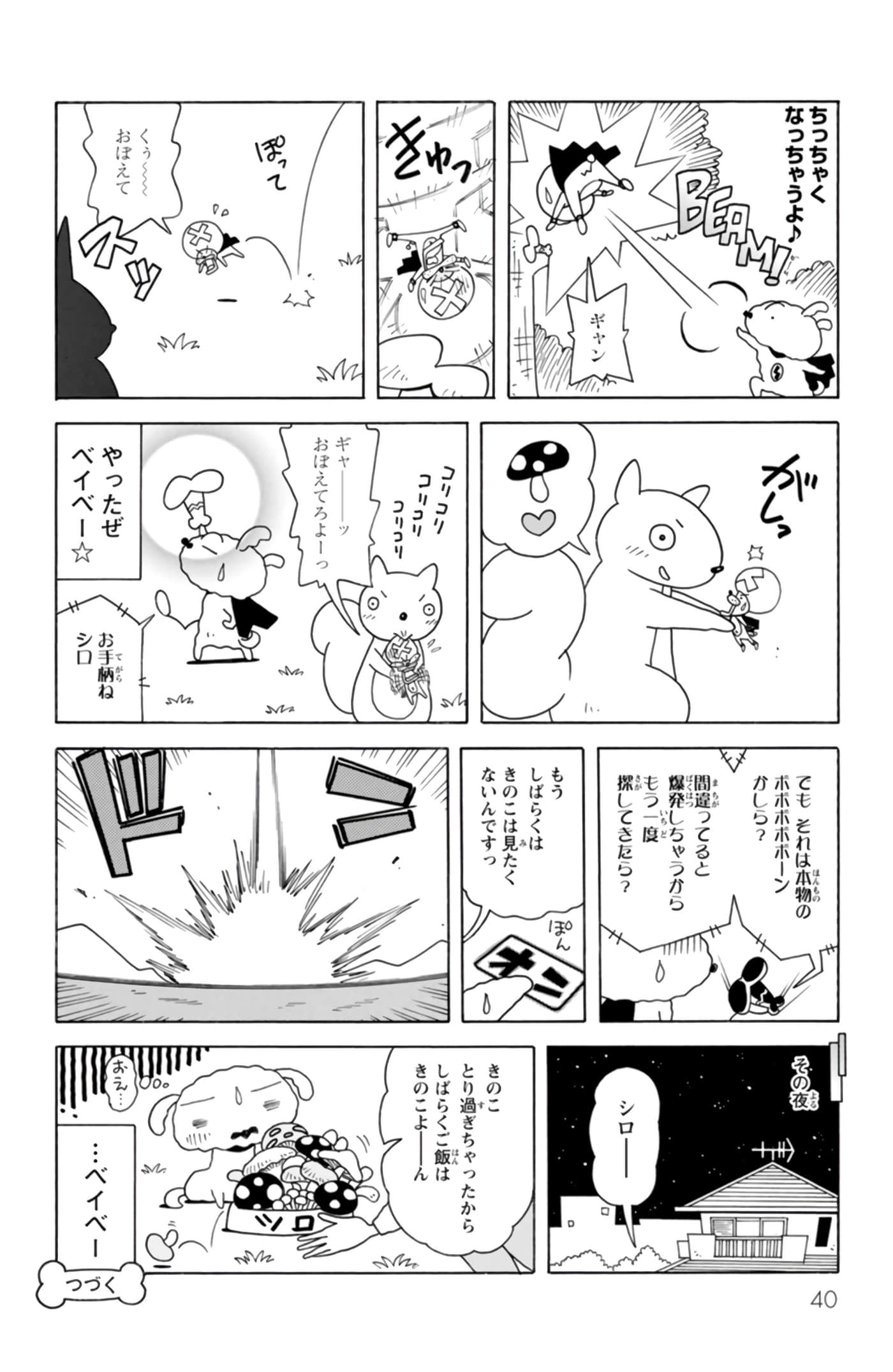 第 39 页