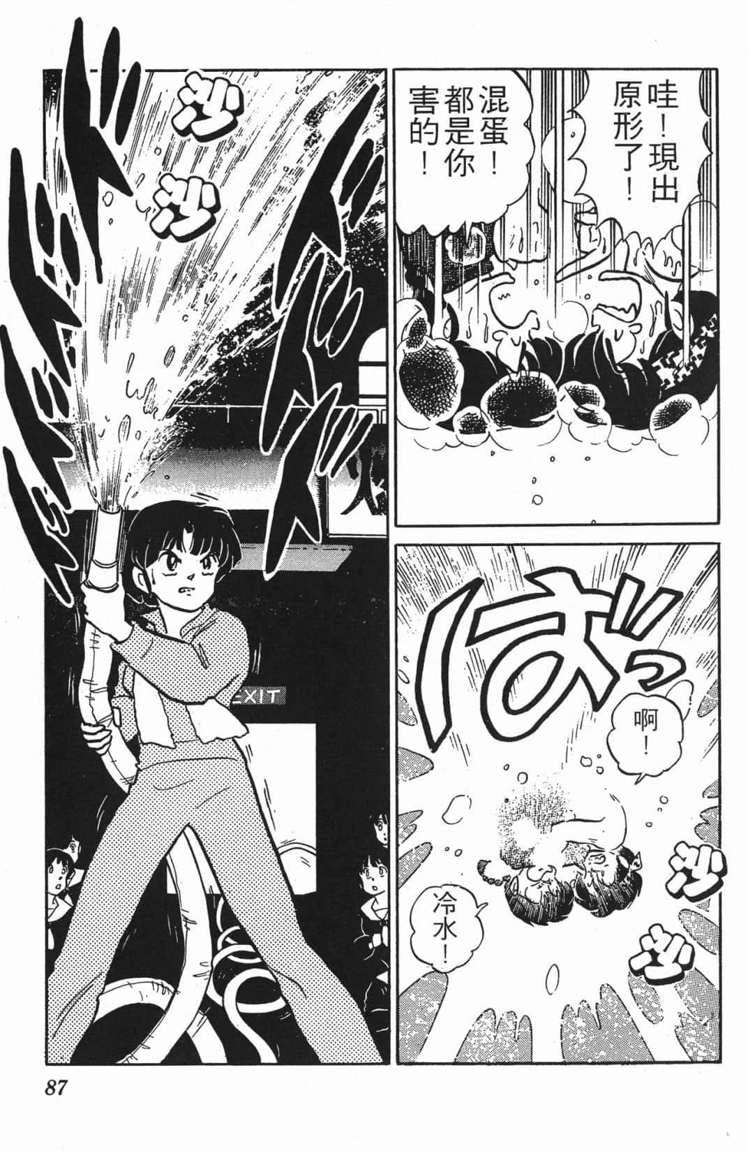 Page 87
