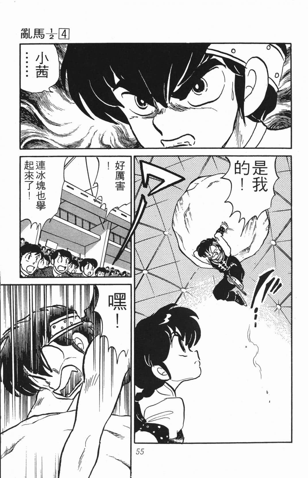 Page 55