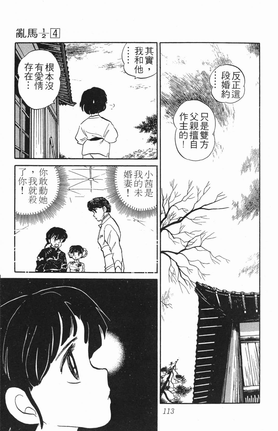 Page 113