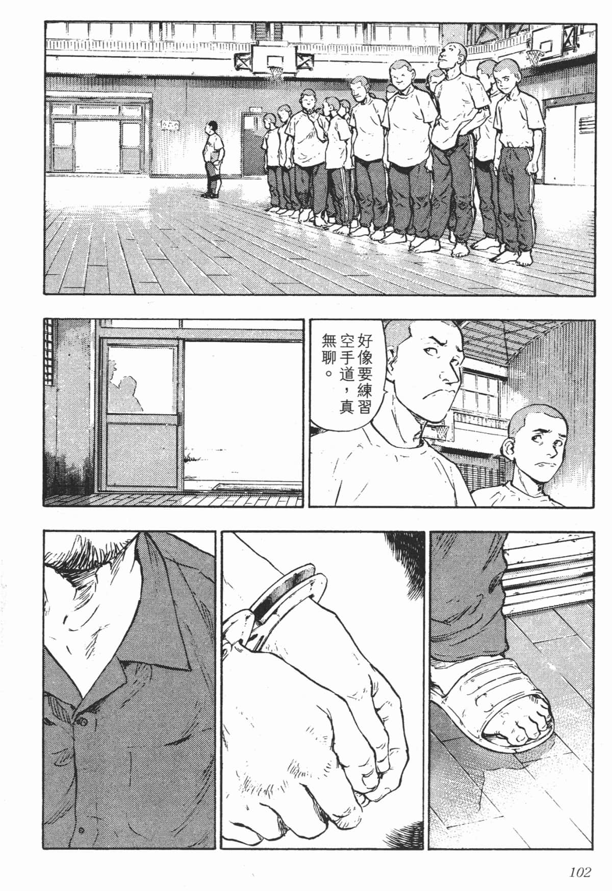 Page 102