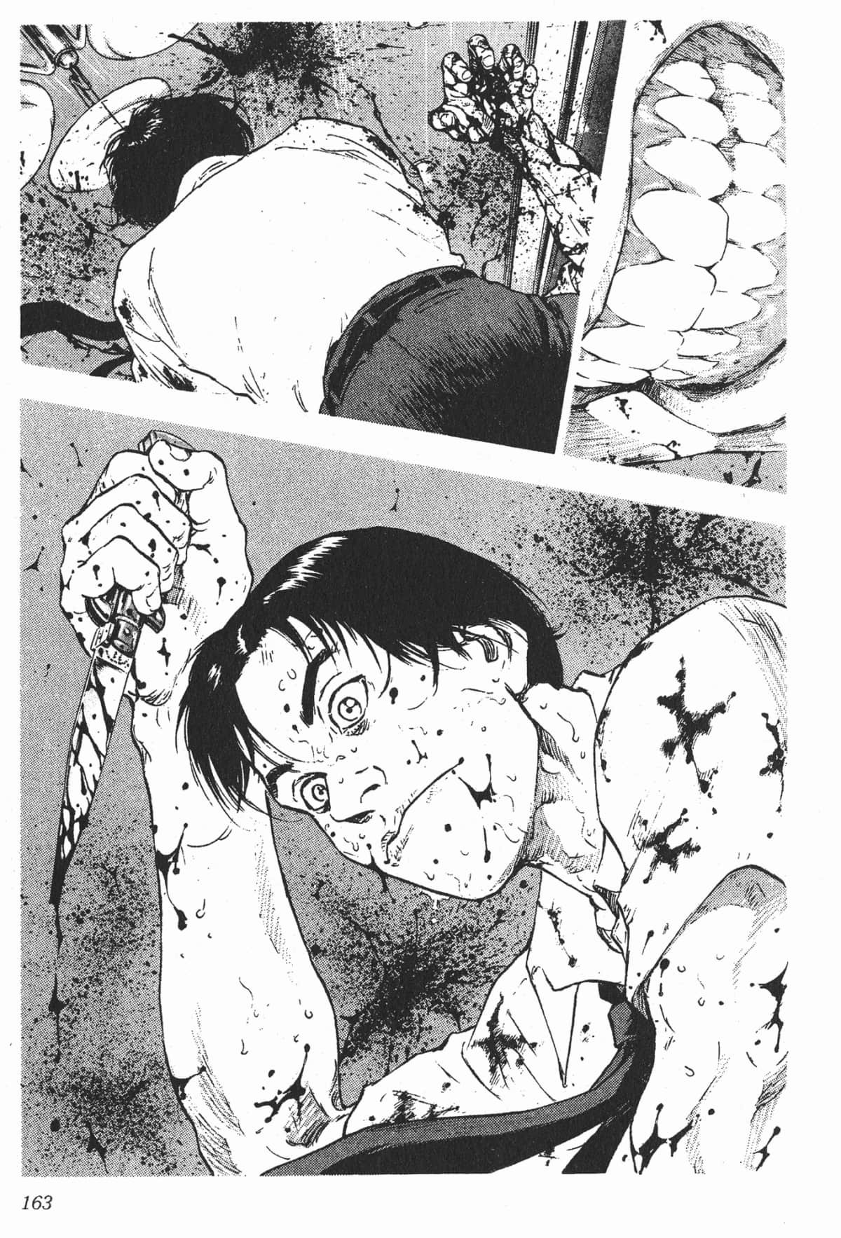 Page 163