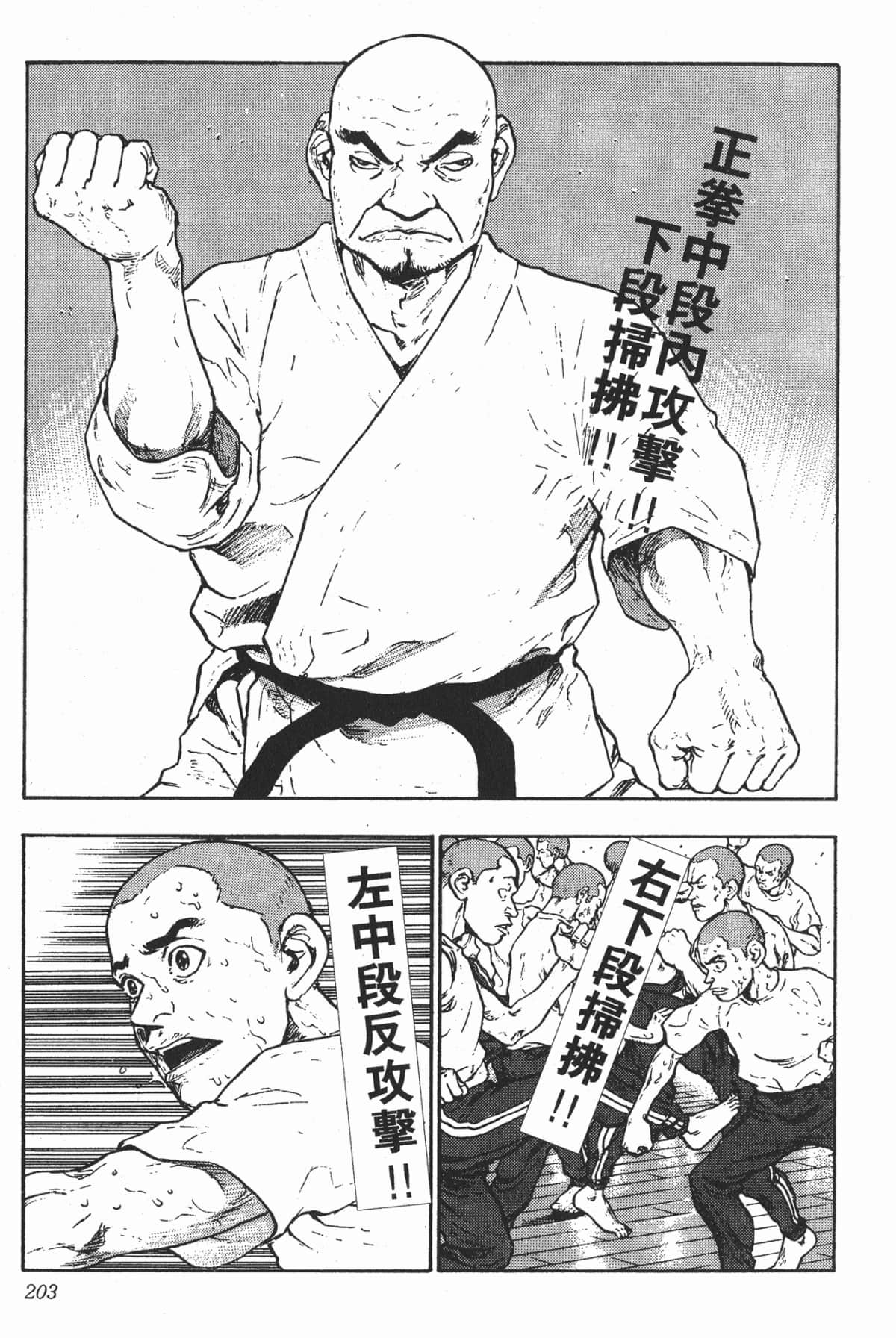 Page 203