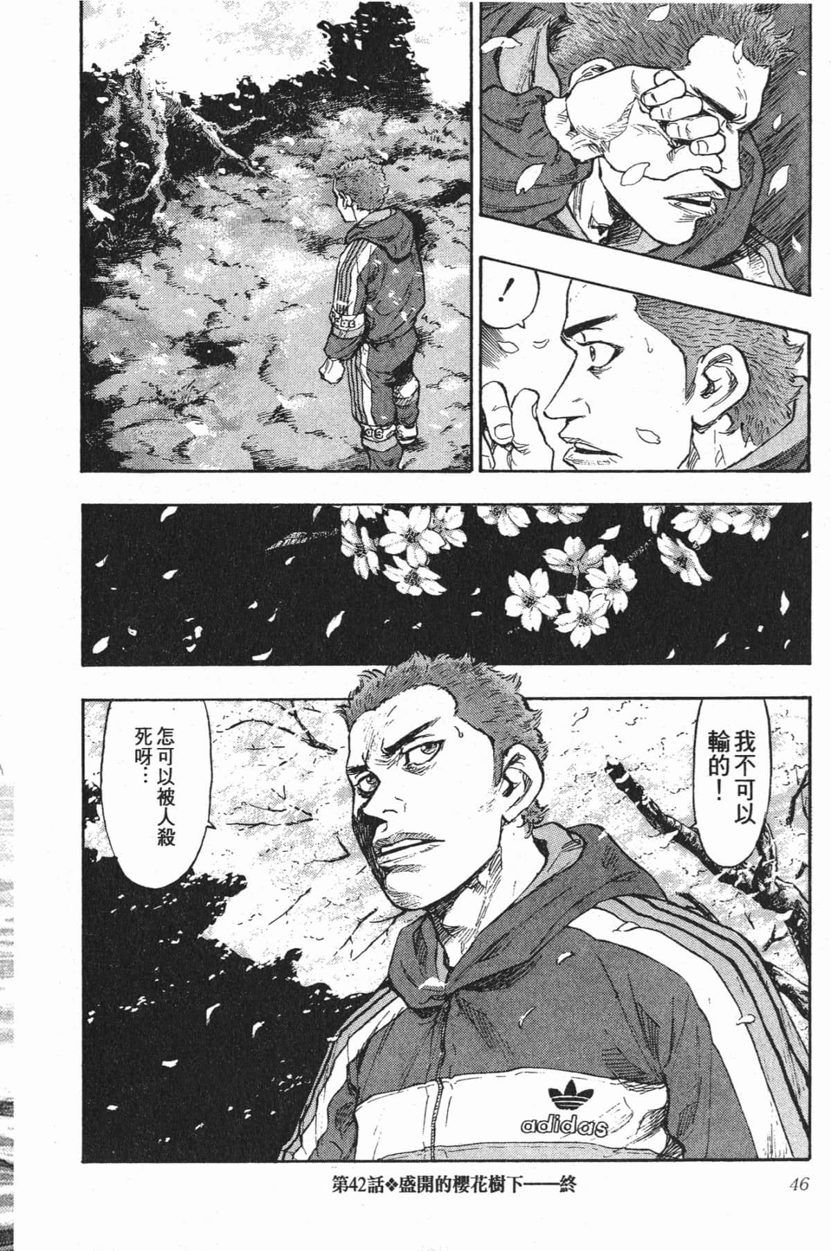 Page 43