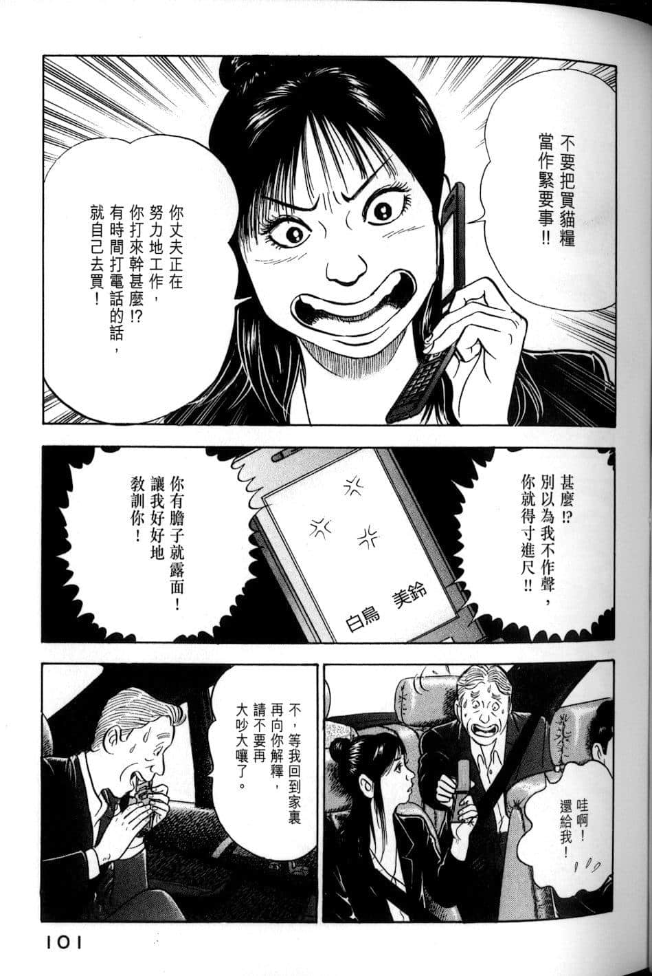 Page 101