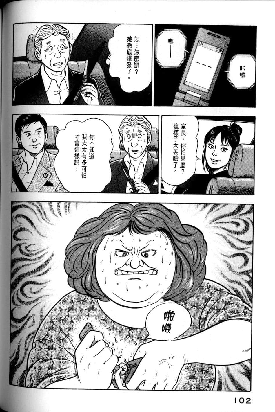 Page 102