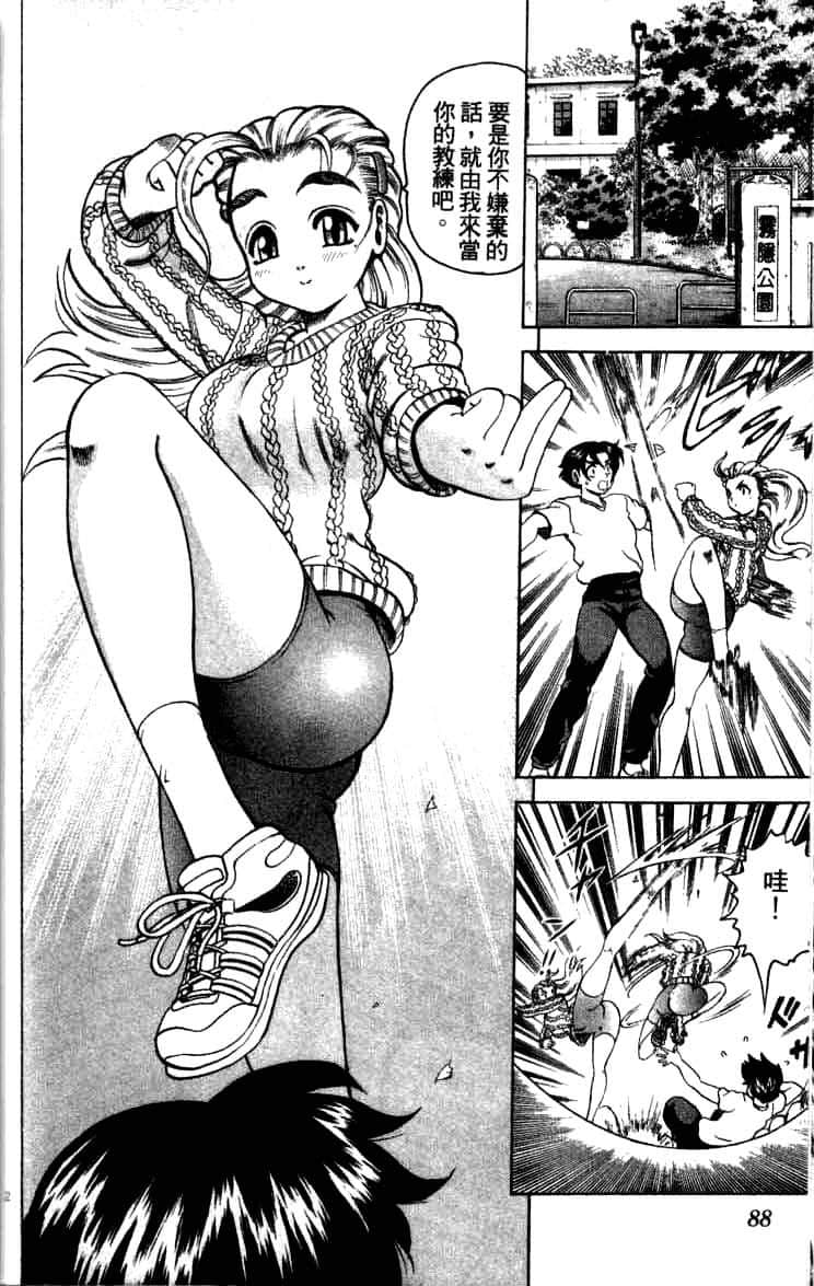 第 86 页